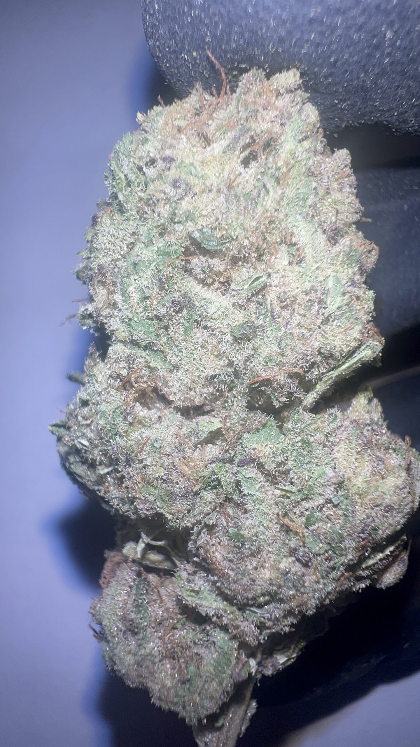 Peanut Butter Breath - Light Assist THCA Flower (Indica) - Image 3