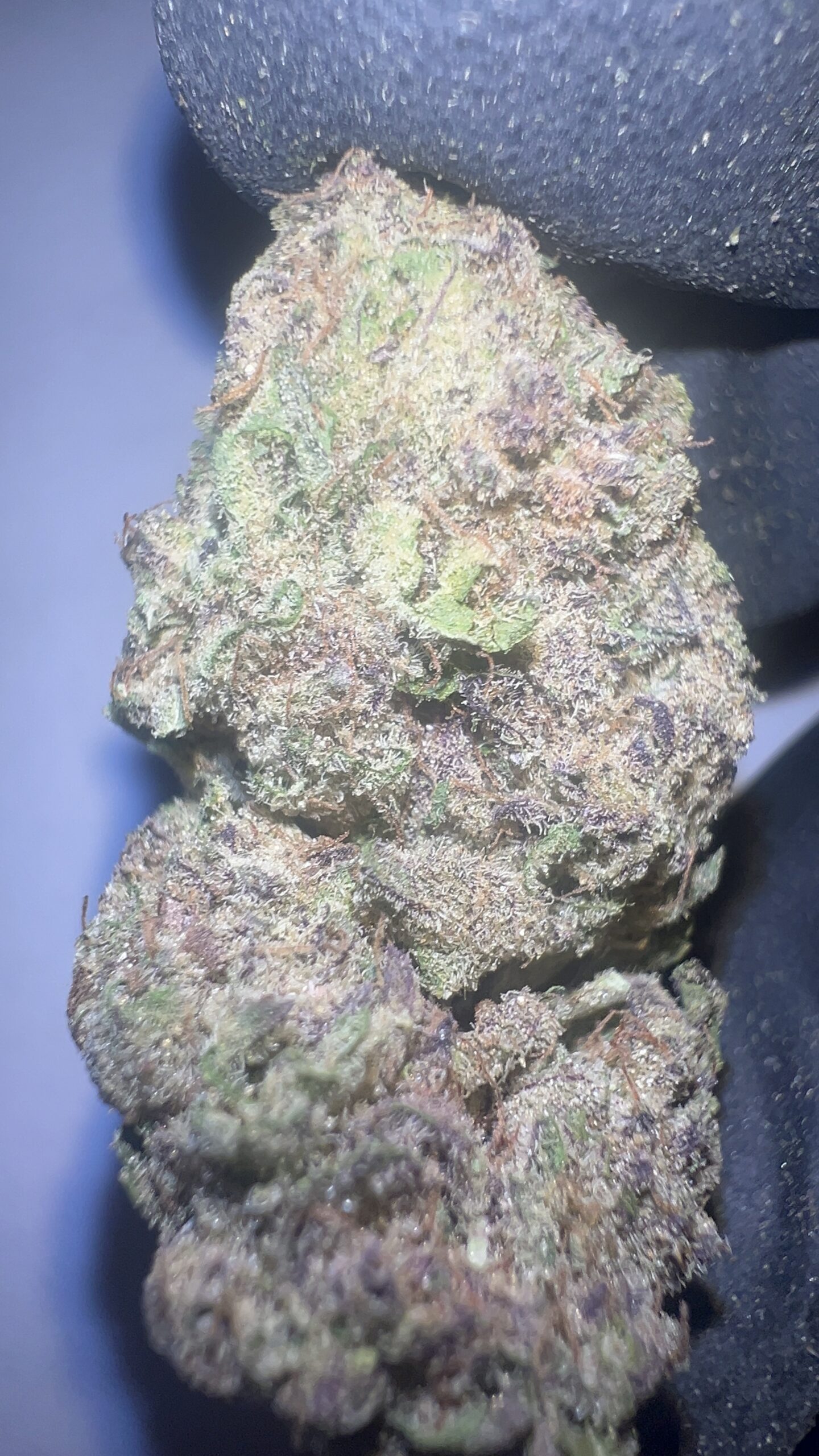 Peanut Butter Breath - Light Assist THCA Flower (Indica) - Image 4