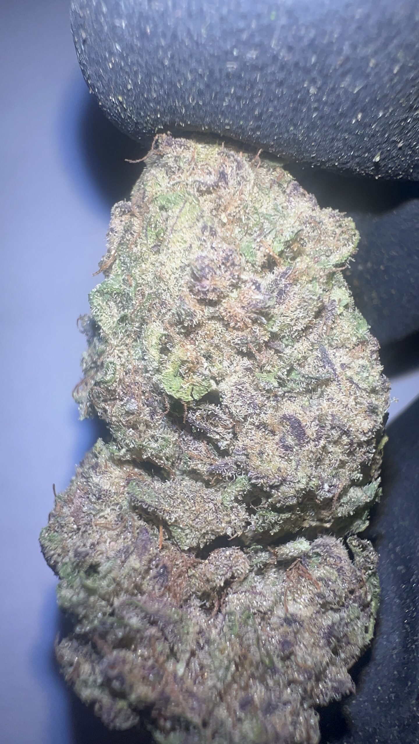 Peanut Butter Breath - Light Assist THCA Flower (Indica) - Image 5