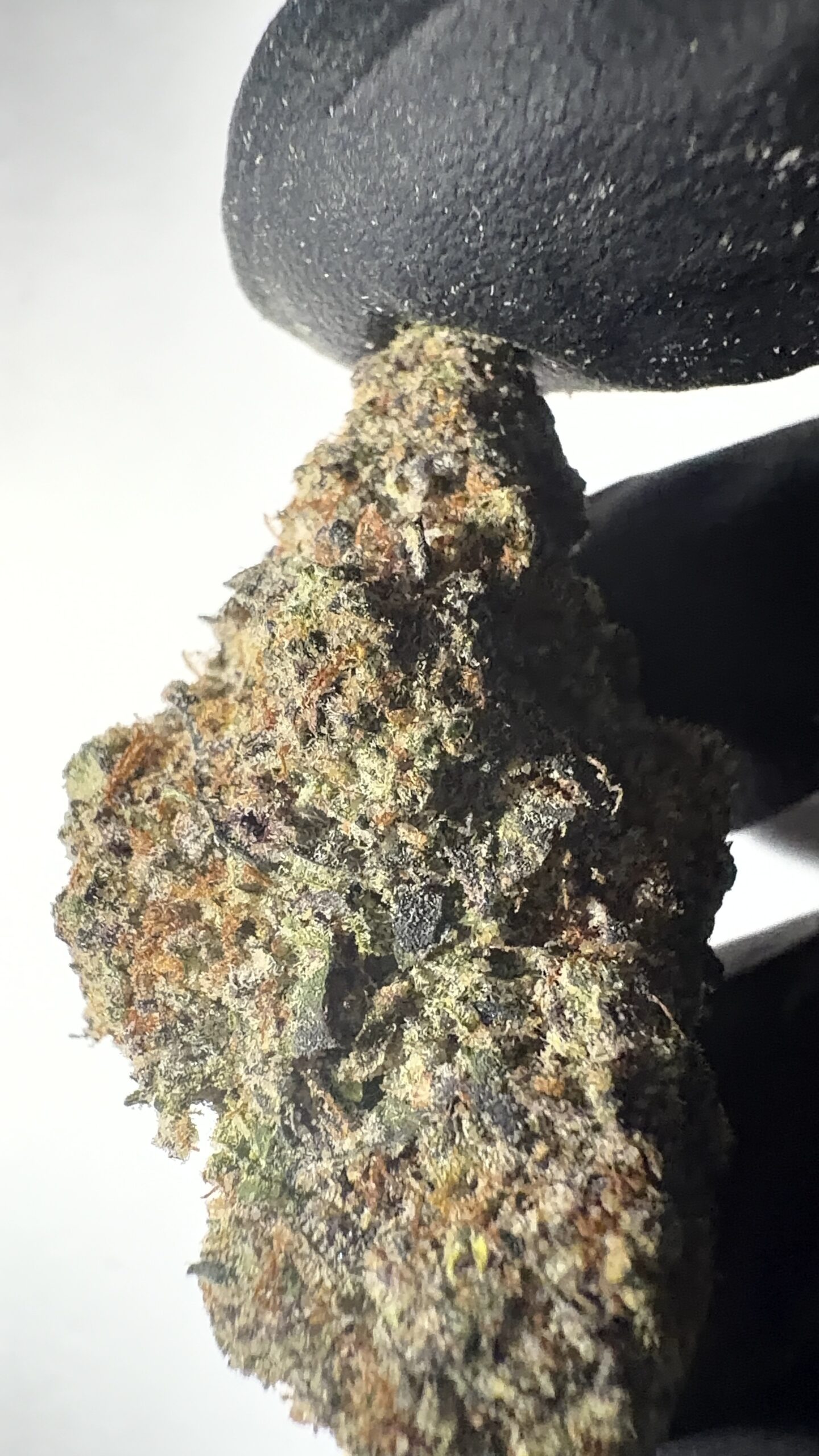 Trophy Wife - Texas-Grown THCA Flower (Hybrid) - Image 2