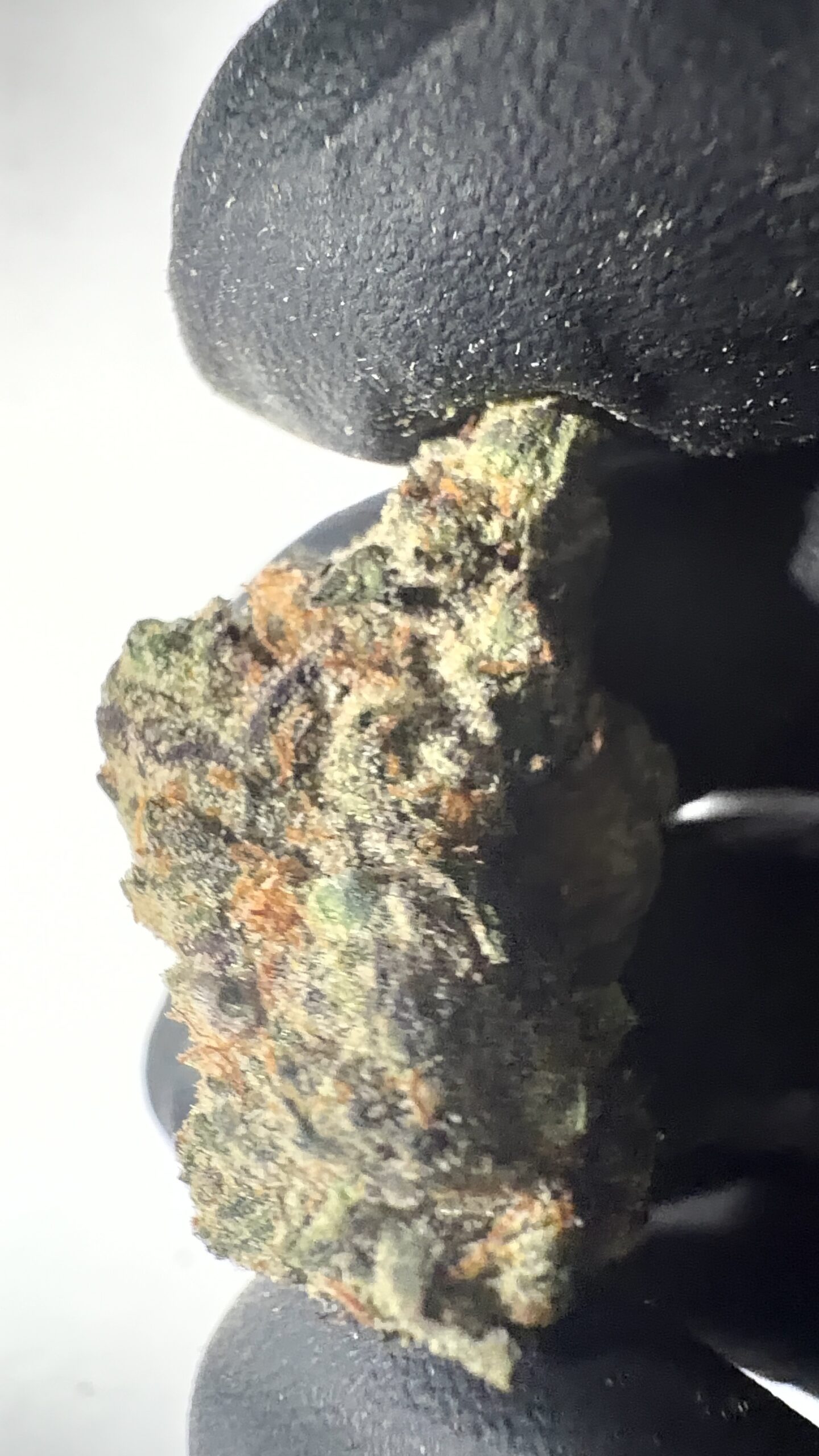Trophy Wife - Texas-Grown THCA Flower (Hybrid) - Image 4