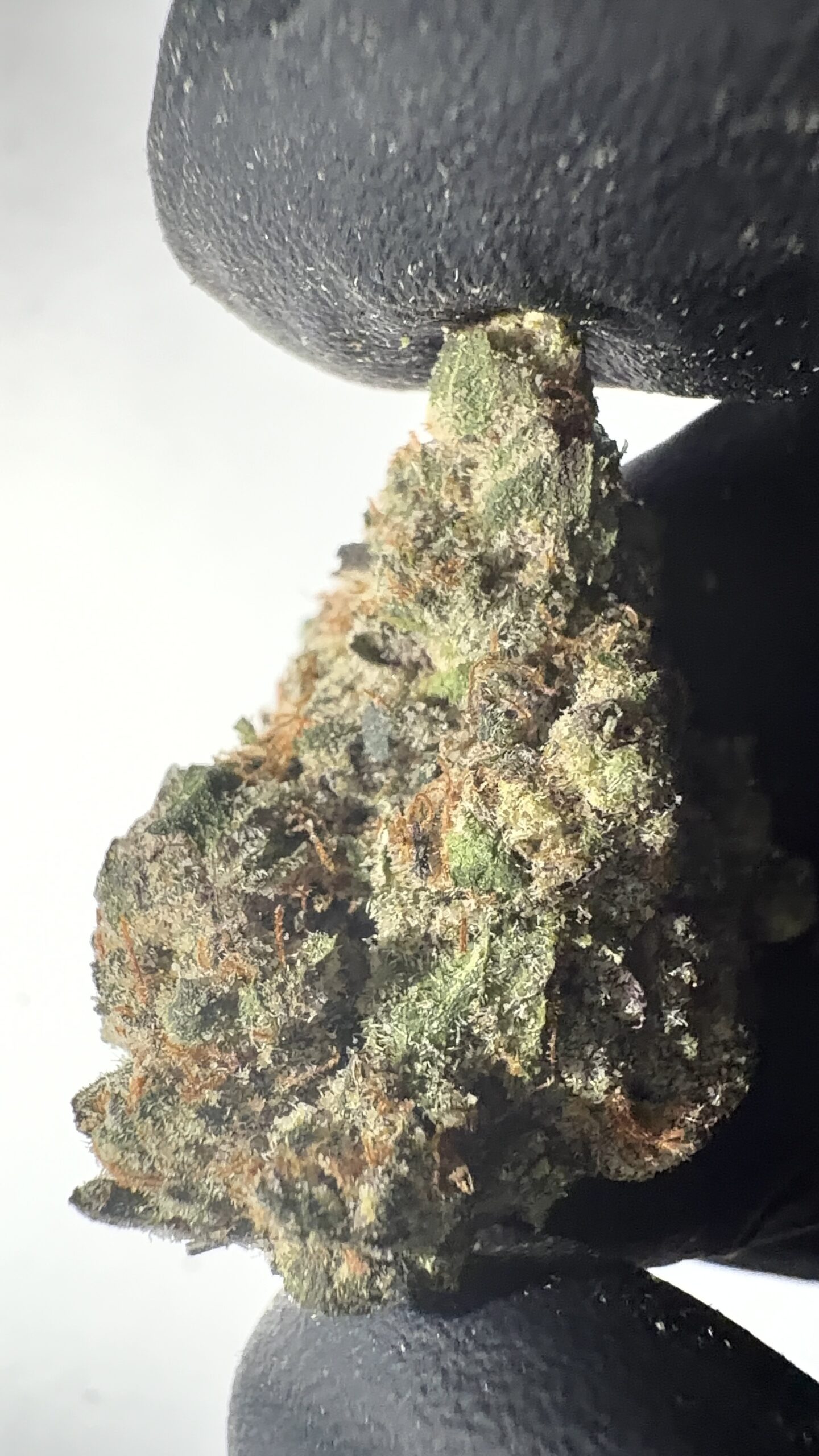 Trophy Wife - Texas-Grown THCA Flower (Hybrid) - Image 5