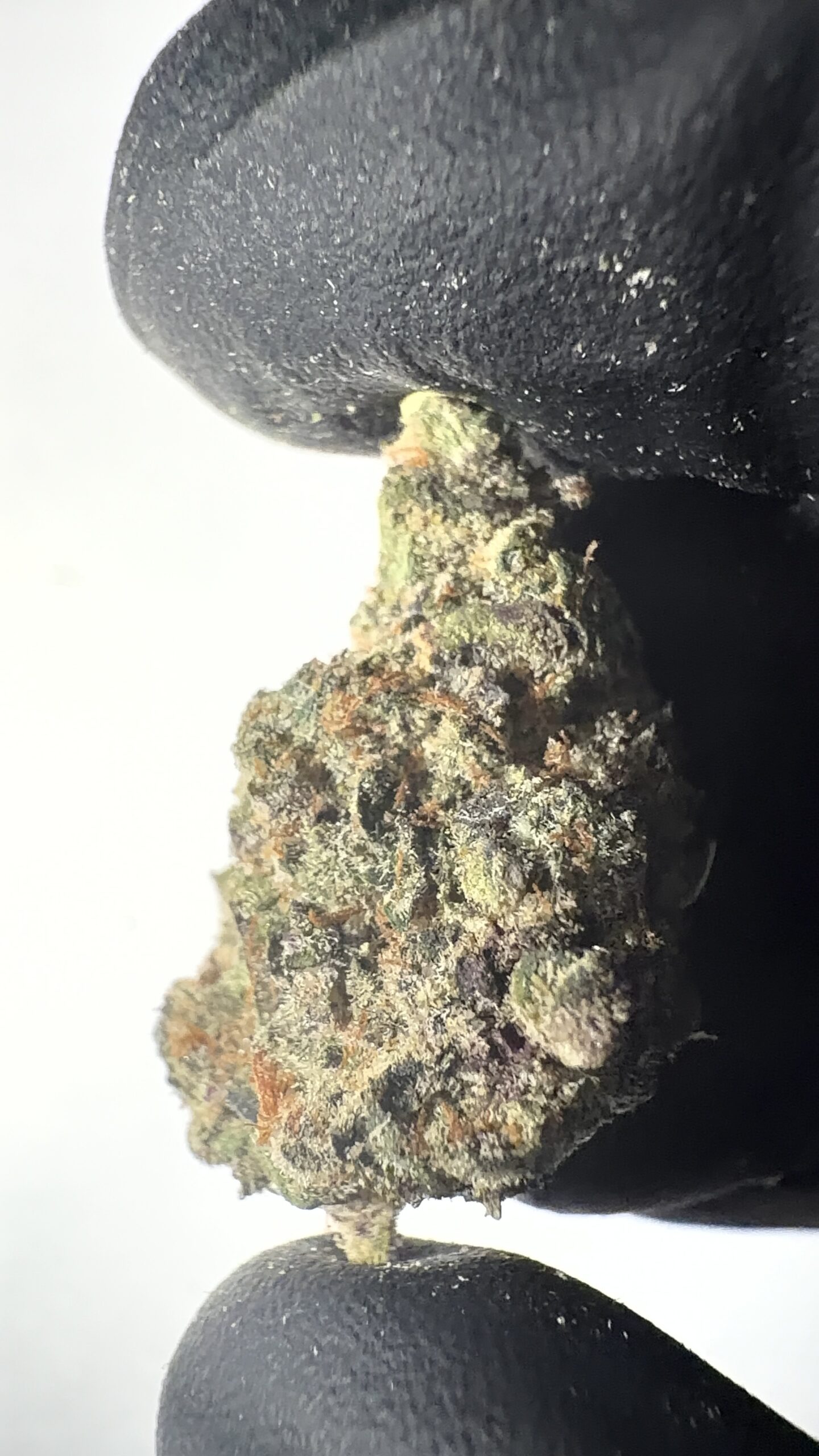 Trophy Wife - Texas-Grown THCA Flower (Hybrid) - Image 6