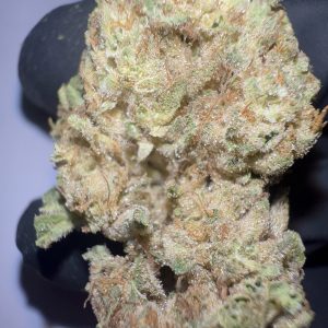 Blue Dream - Texas-Grown THCA Flower (Sativa)