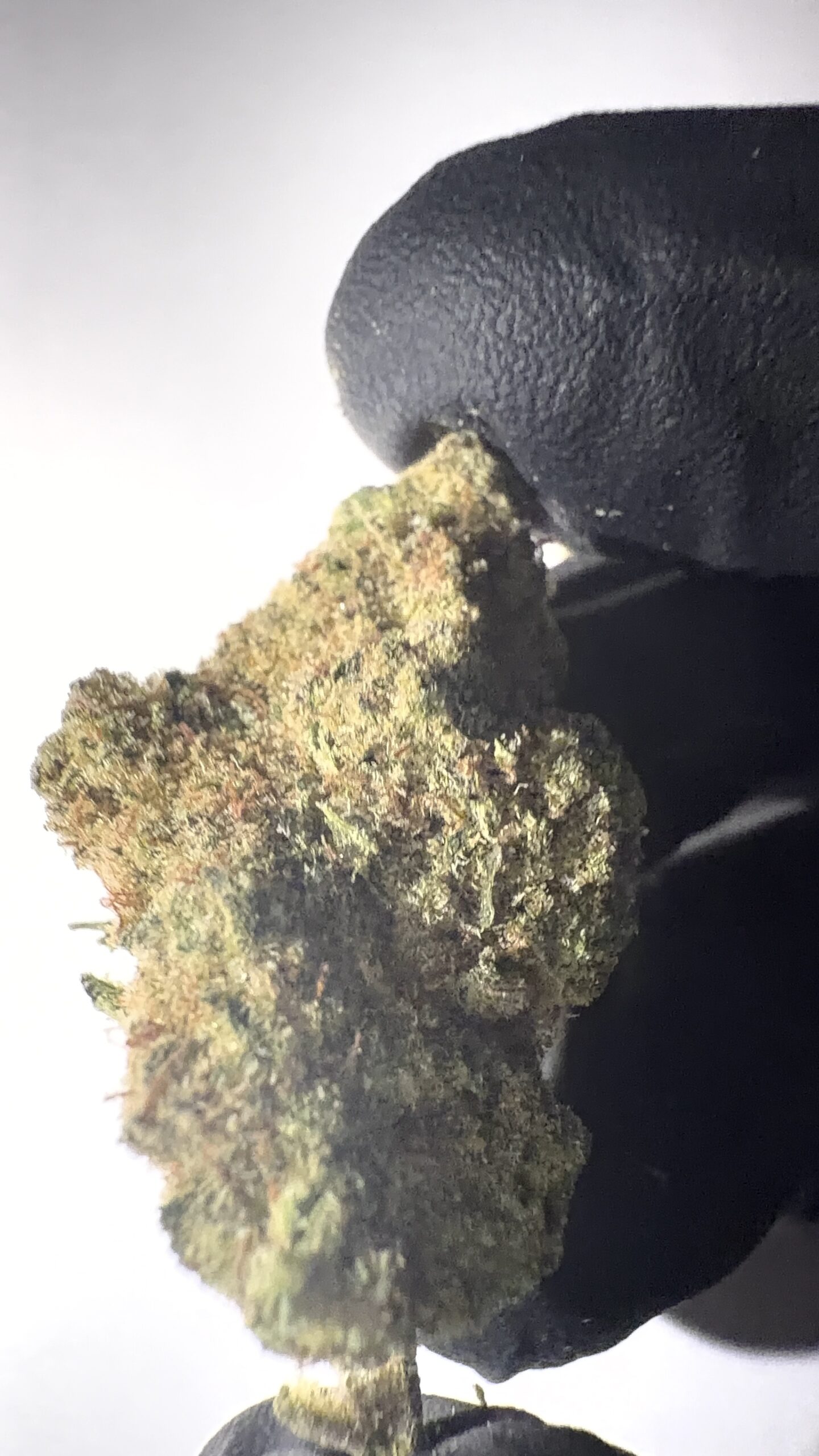 Critical - Indoor THCA Flower (Indica) - Image 2