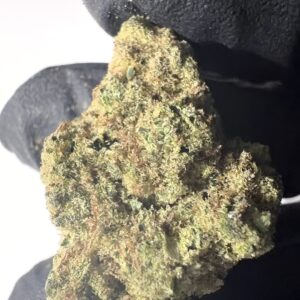 Critical - Indoor THCA Flower (Indica)