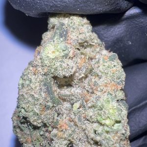 Purple Cowboy - Texas-Grown THCA Flower (Hybrid)