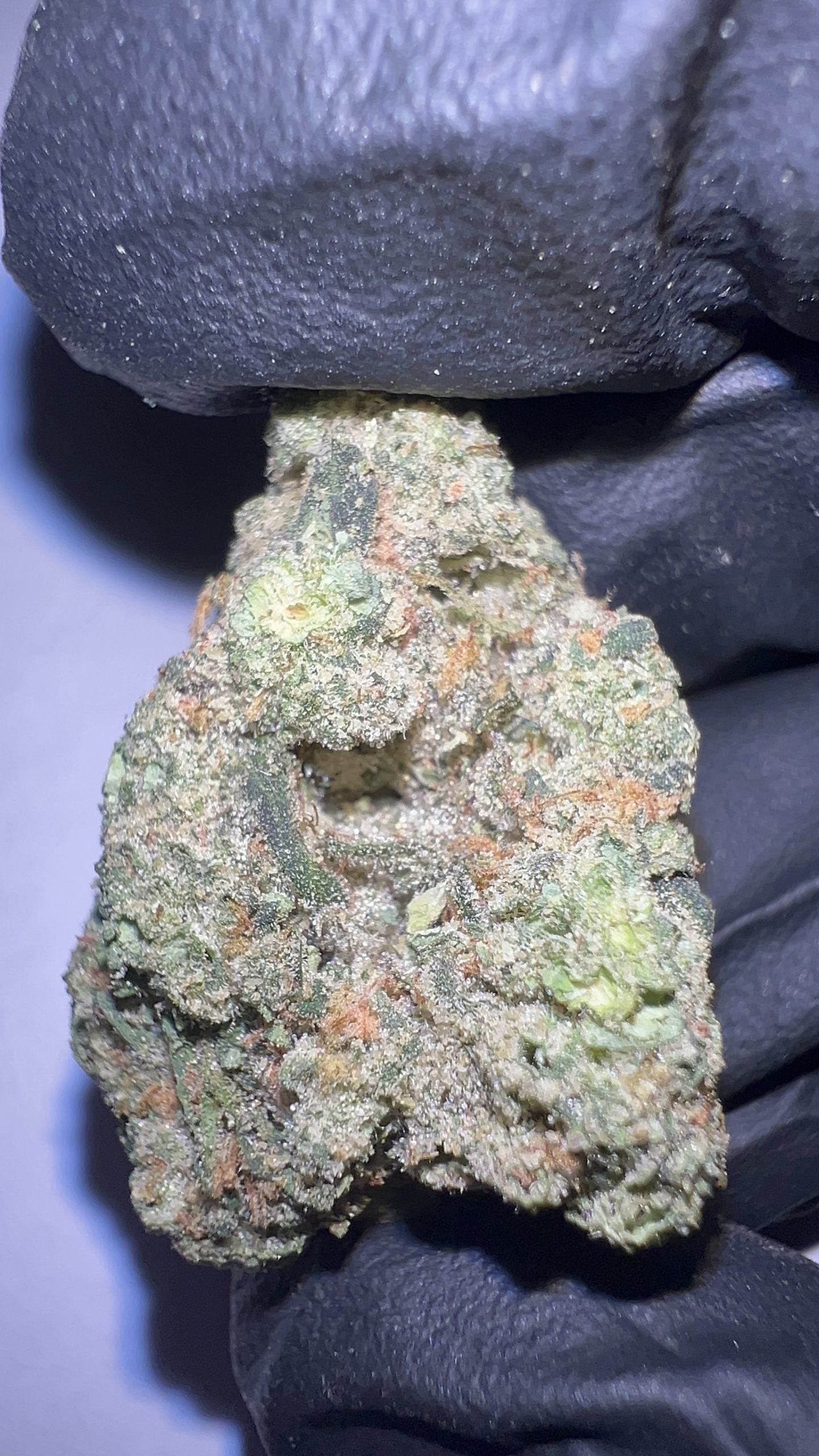 Purple Cowboy - Texas-Grown THCA Flower (Hybrid)