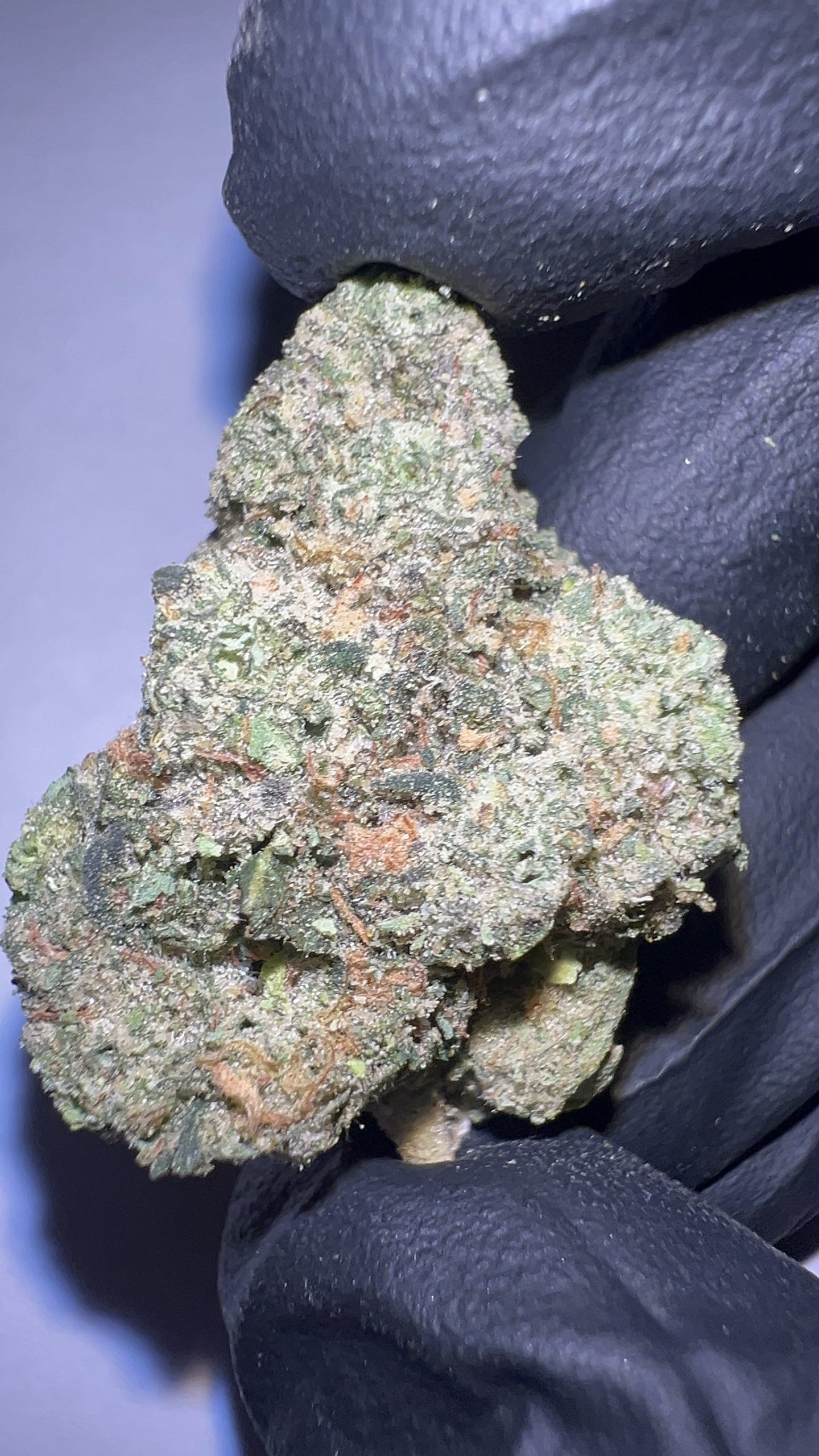 Purple Cowboy - Texas-Grown THCA Flower (Hybrid) - Image 3