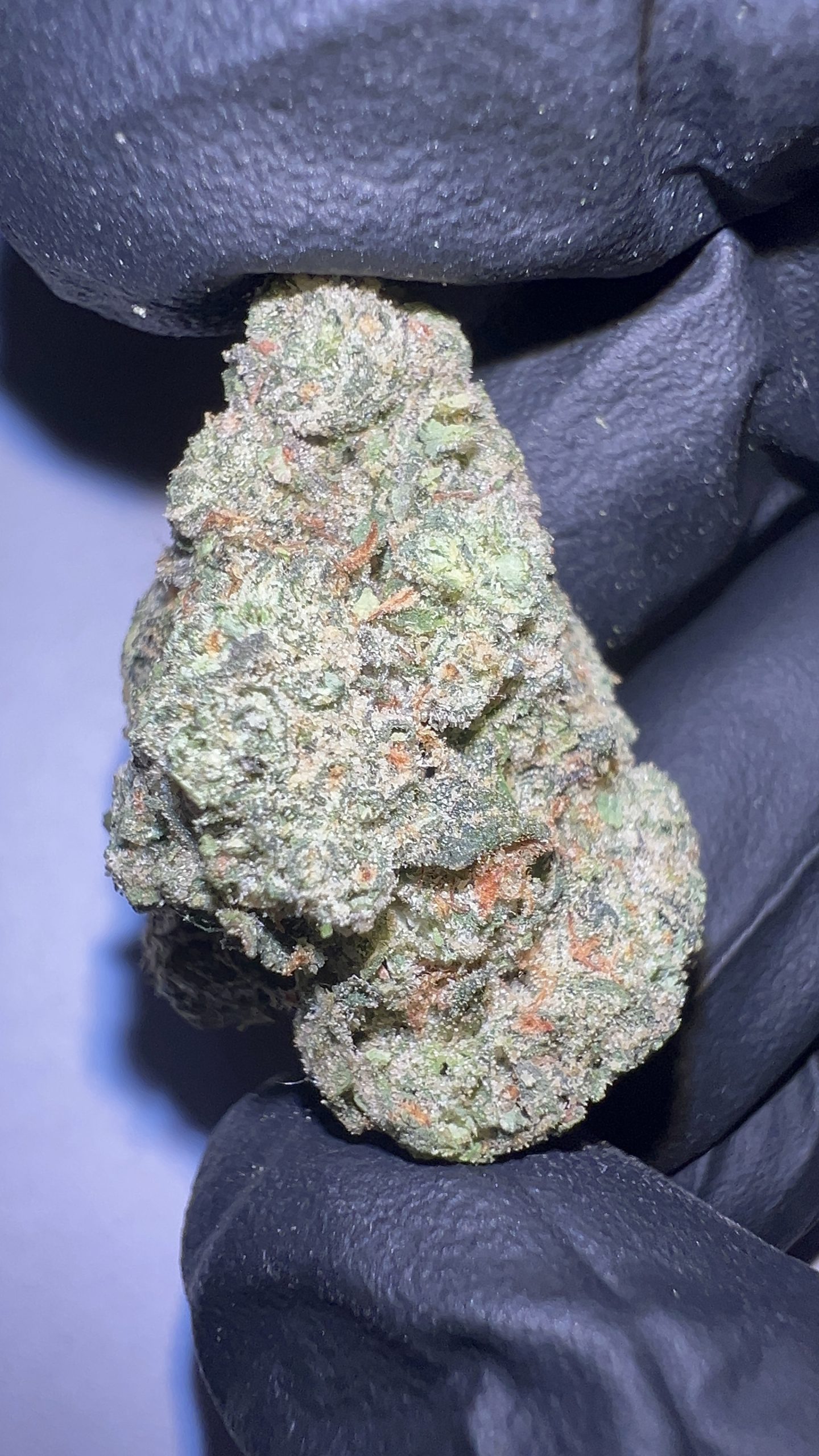 Purple Cowboy - Texas-Grown THCA Flower (Hybrid) - Image 4