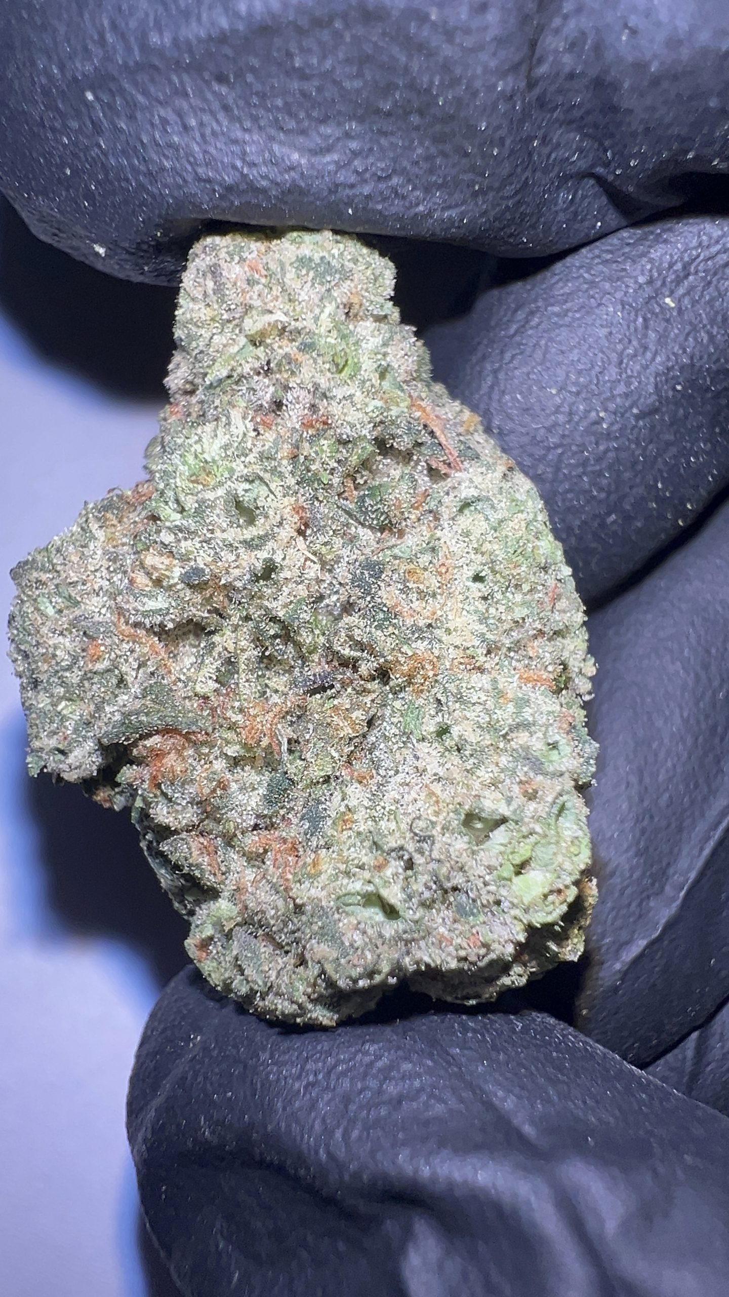 Purple Cowboy - Texas-Grown THCA Flower (Hybrid) - Image 5