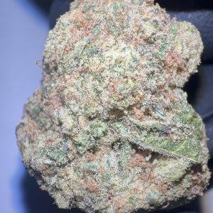 Tangie - THCA Flower (Sativa)