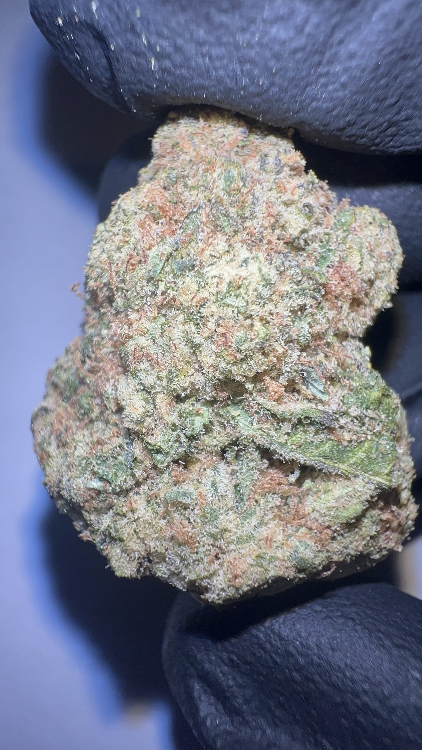 Tangie - THCA Flower (Sativa)