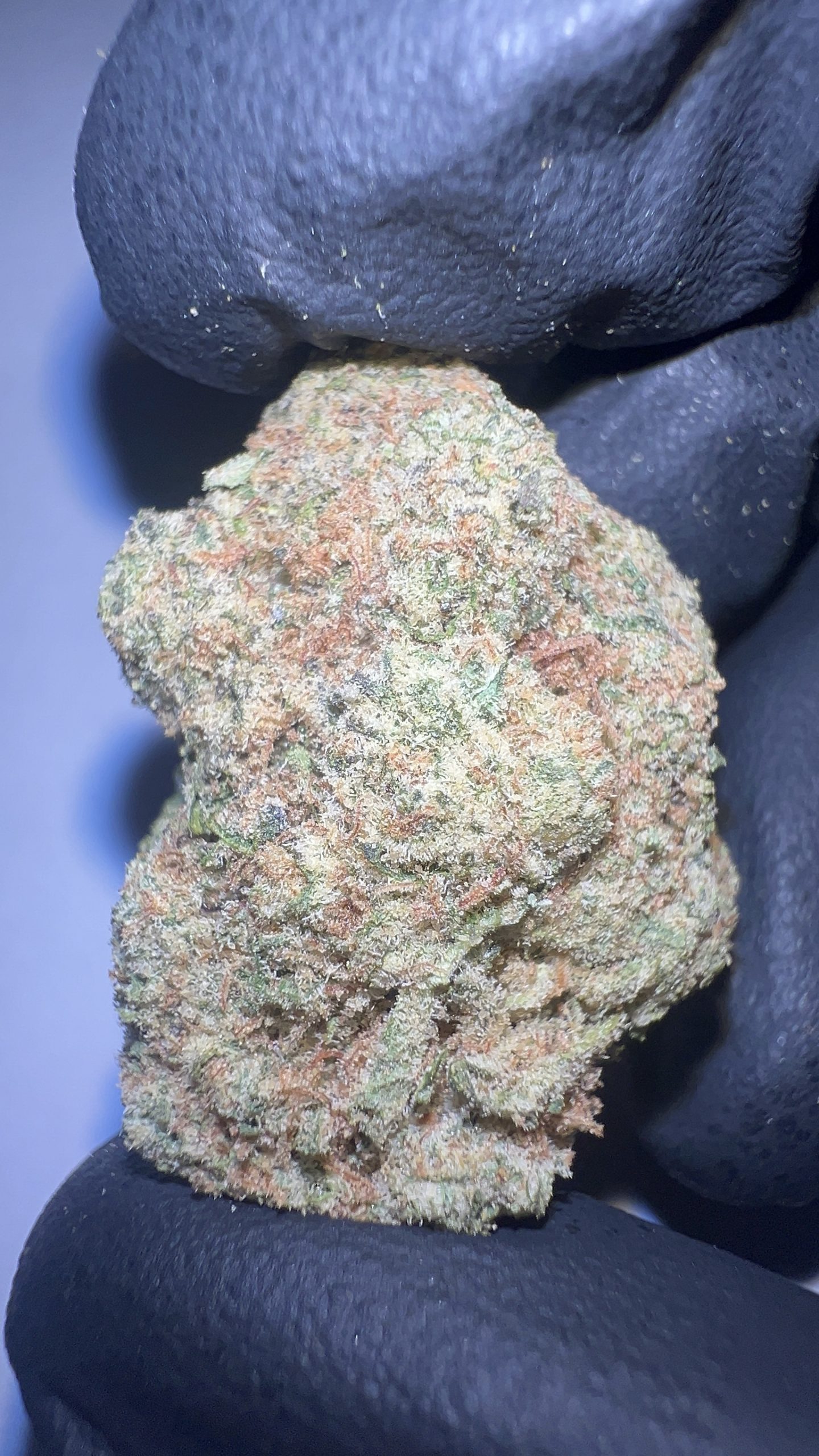 Tangie - THCA Flower (Sativa) - Image 3