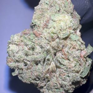 Trophy Wife - Texas-Grown THCA Flower (Hybrid)