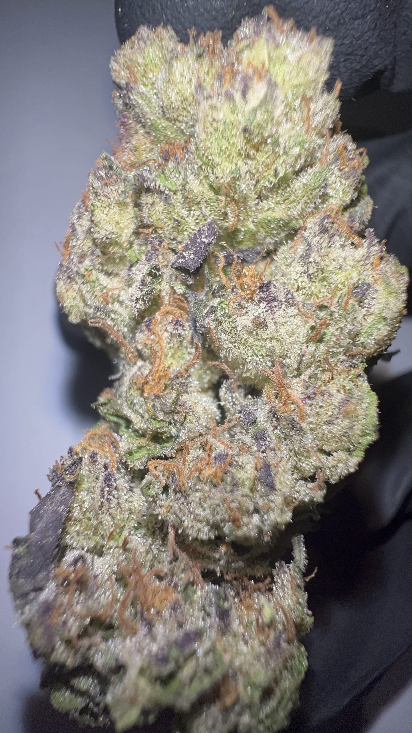 Wedding Cake - Texas-Grown THCA Flower (Hybrid)