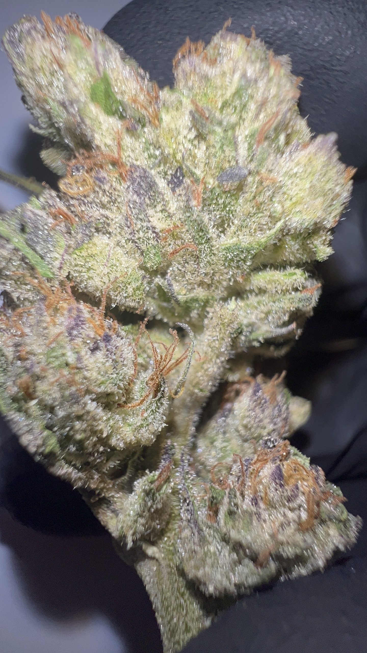 Wedding Cake - Texas-Grown THCA Flower (Hybrid) - Image 2
