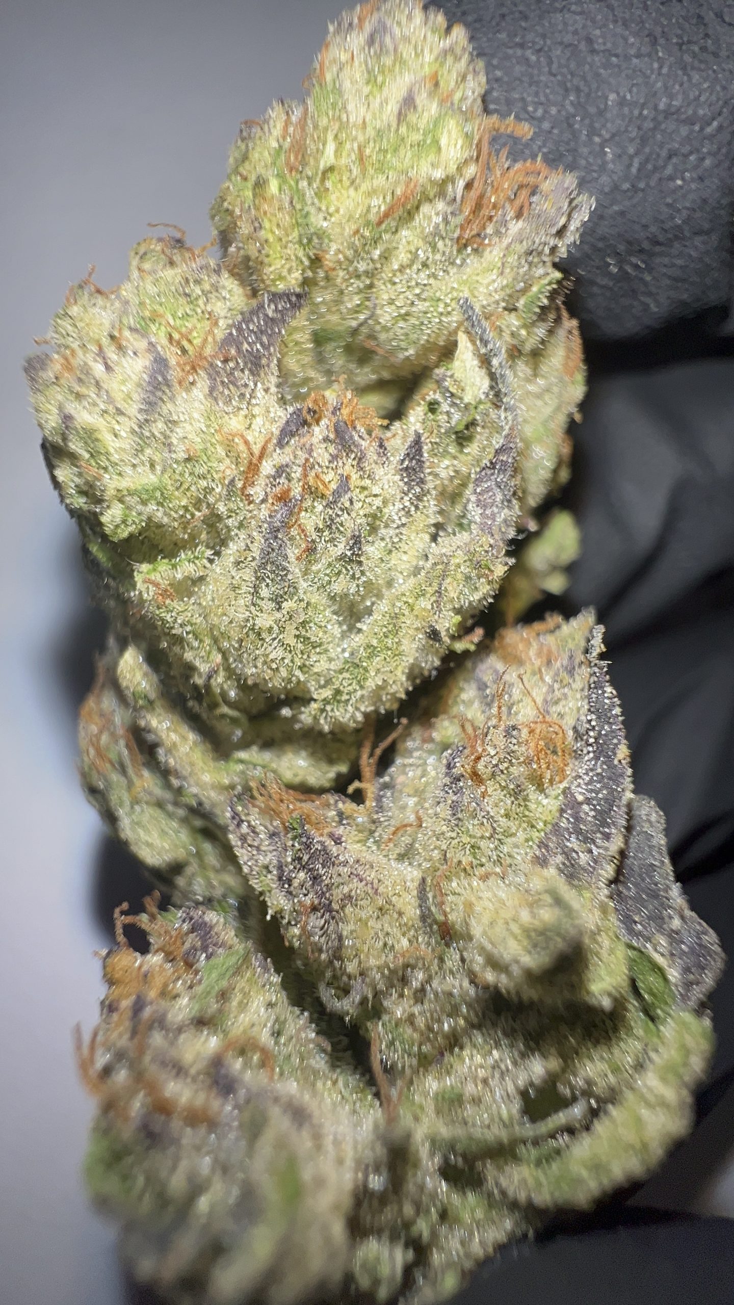 Wedding Cake - Texas-Grown THCA Flower (Hybrid) - Image 3