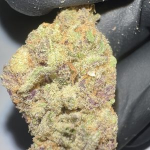 Mandarin Cookies - THCA Flower (Hybrid)