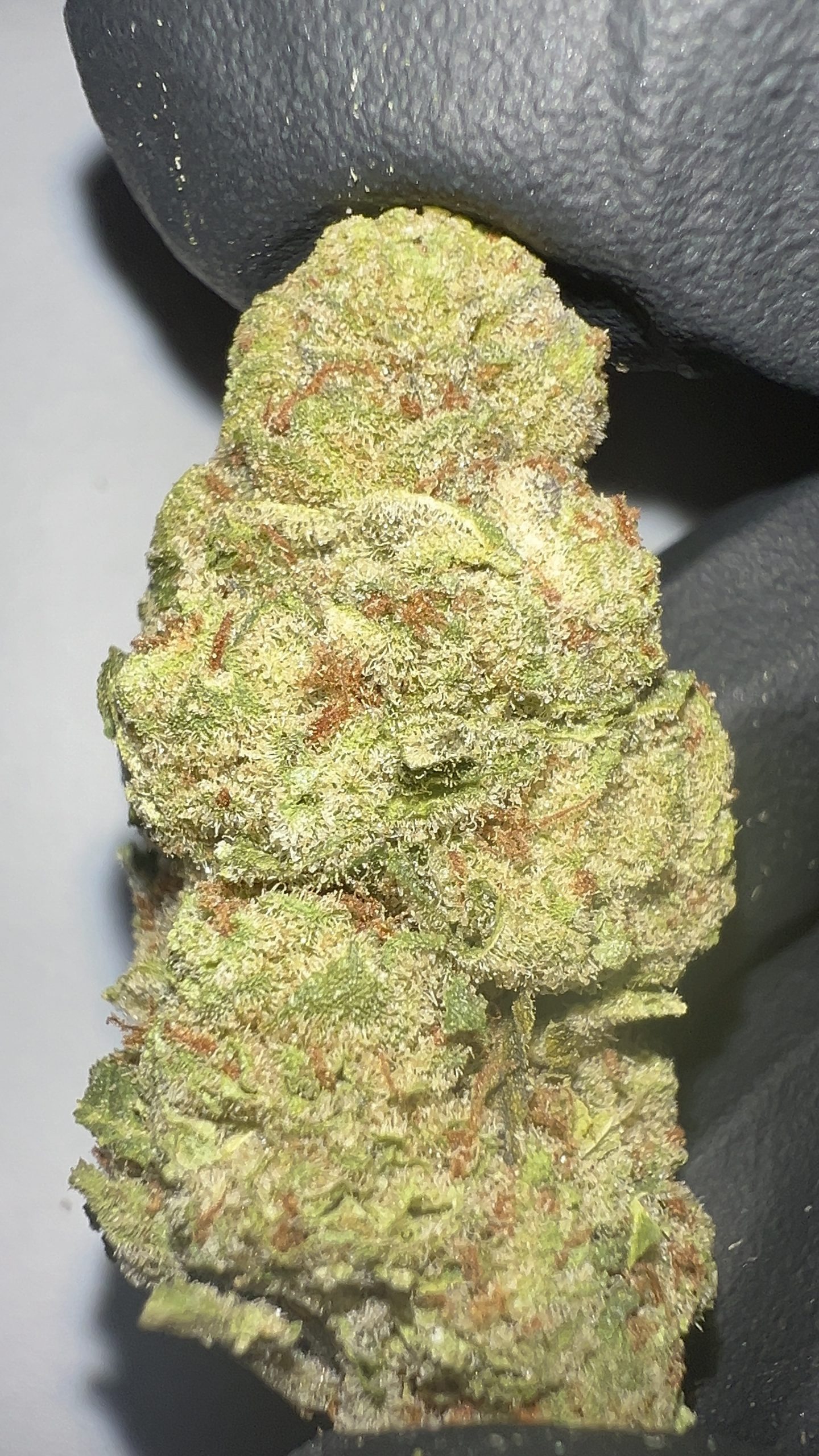 Green Crack - Light Assist THCA Flower (Sativa)
