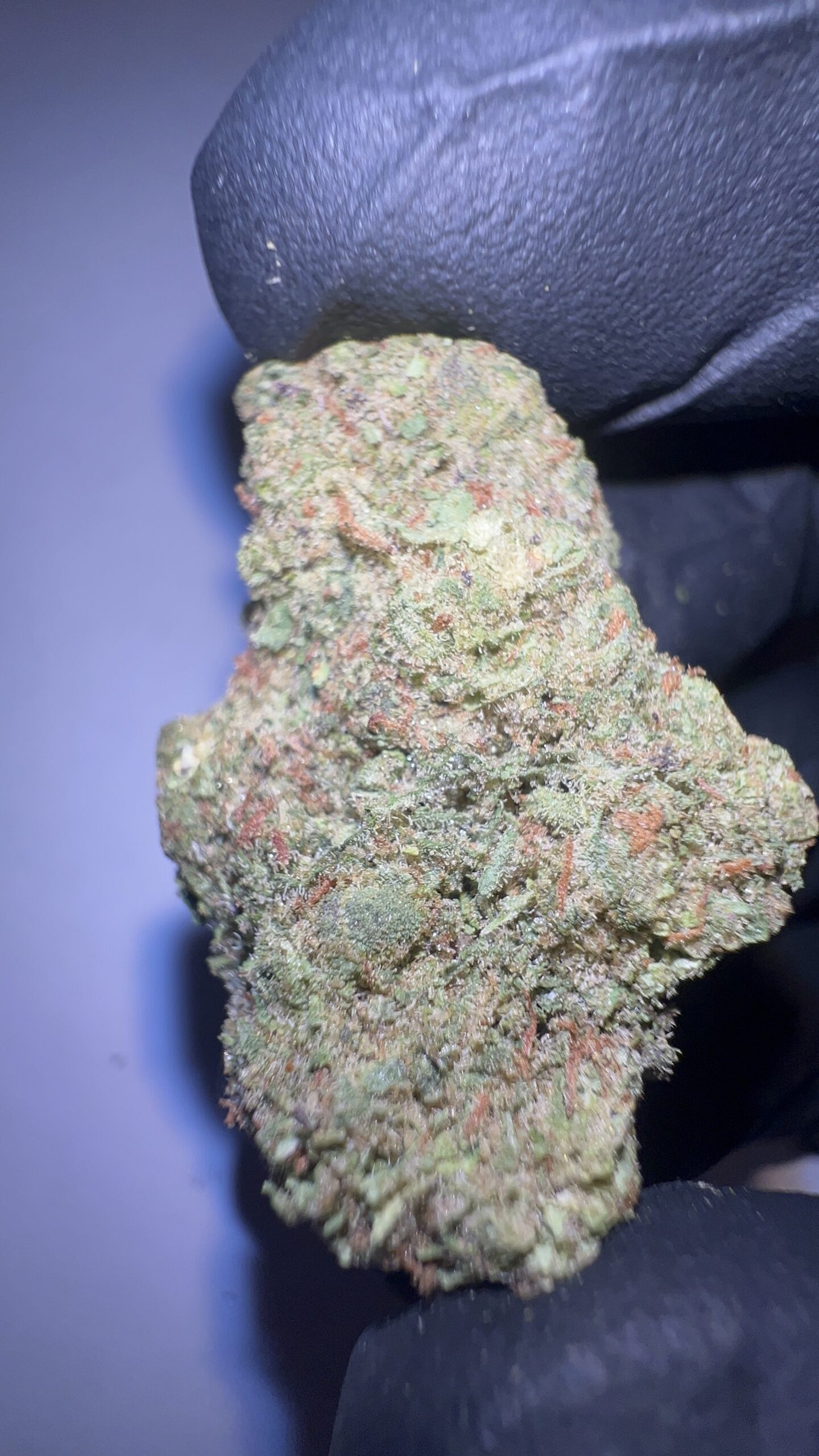 Malawi Gold - THCA Flower (Sativa) - Image 4