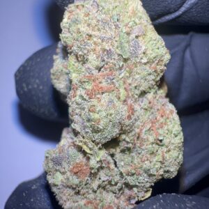 Malawi Gold - THCA Flower (Sativa)