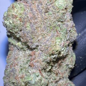 Malawi Gold - THCA Flower (Sativa)