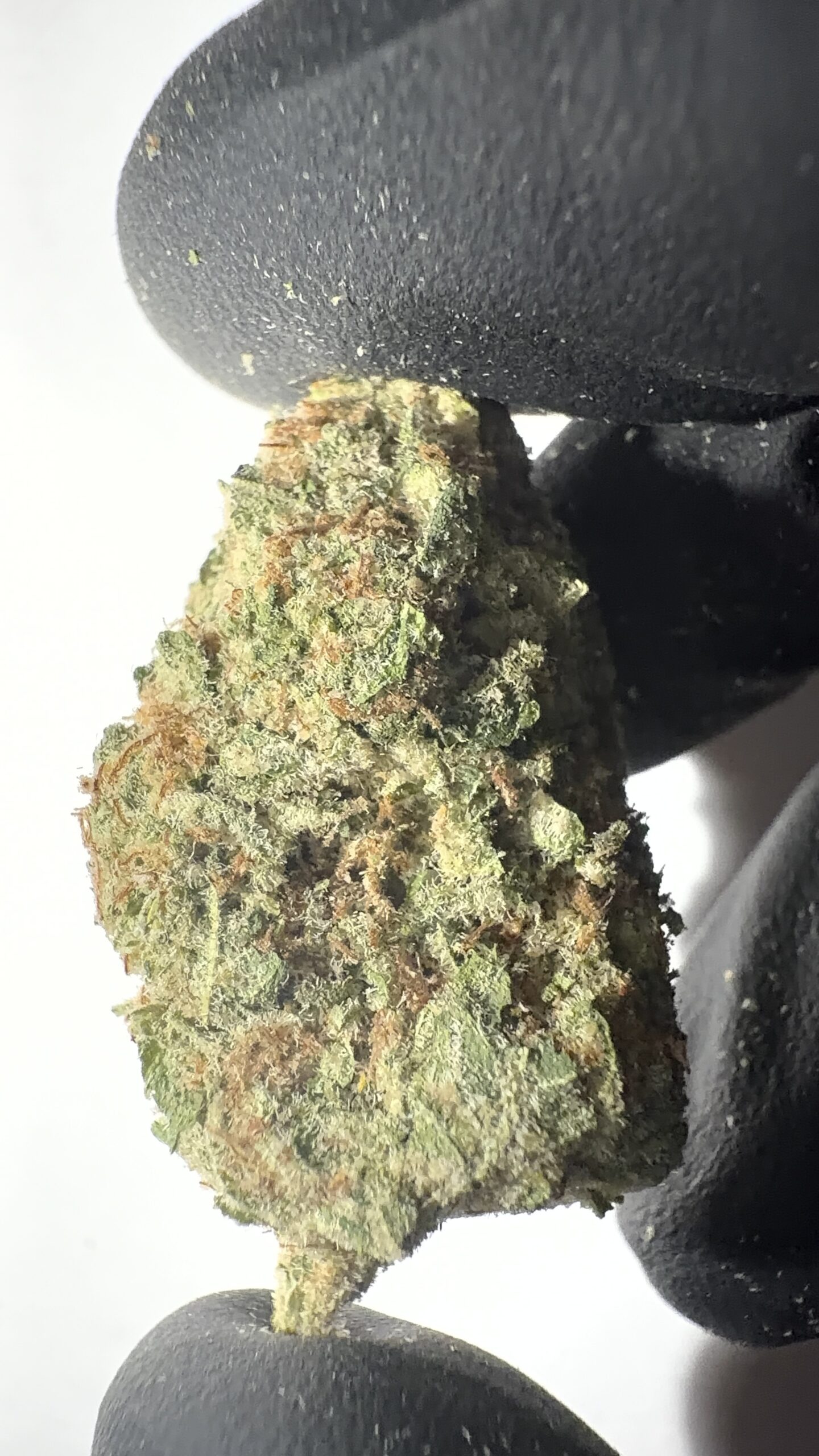 Amnesia Haze - THCA Flower (Sativa) - Image 6