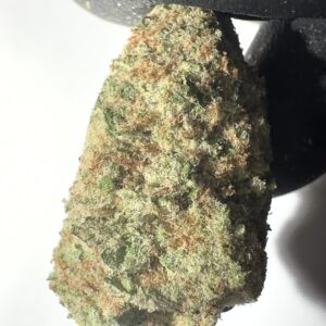 Amnesia Haze - THCA Flower (Sativa)