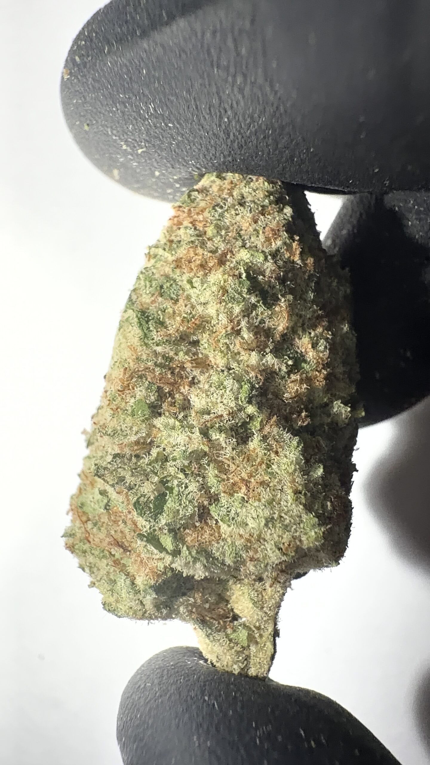 Amnesia Haze - THCA Flower (Sativa)