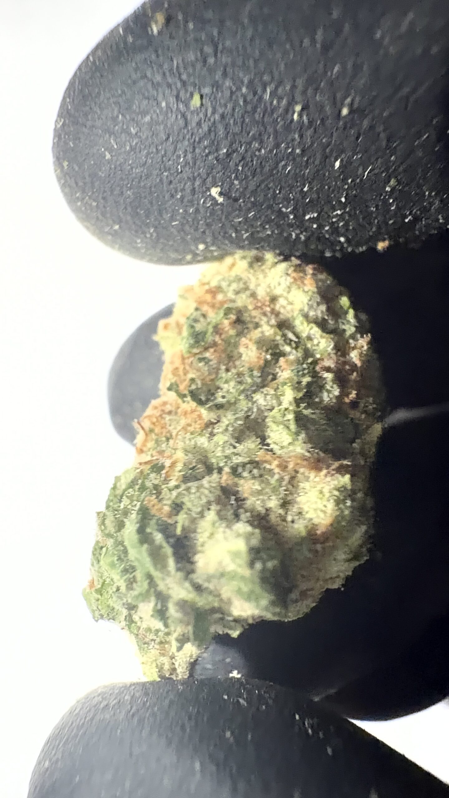Amnesia Haze - THCA Flower (Sativa) - Image 5