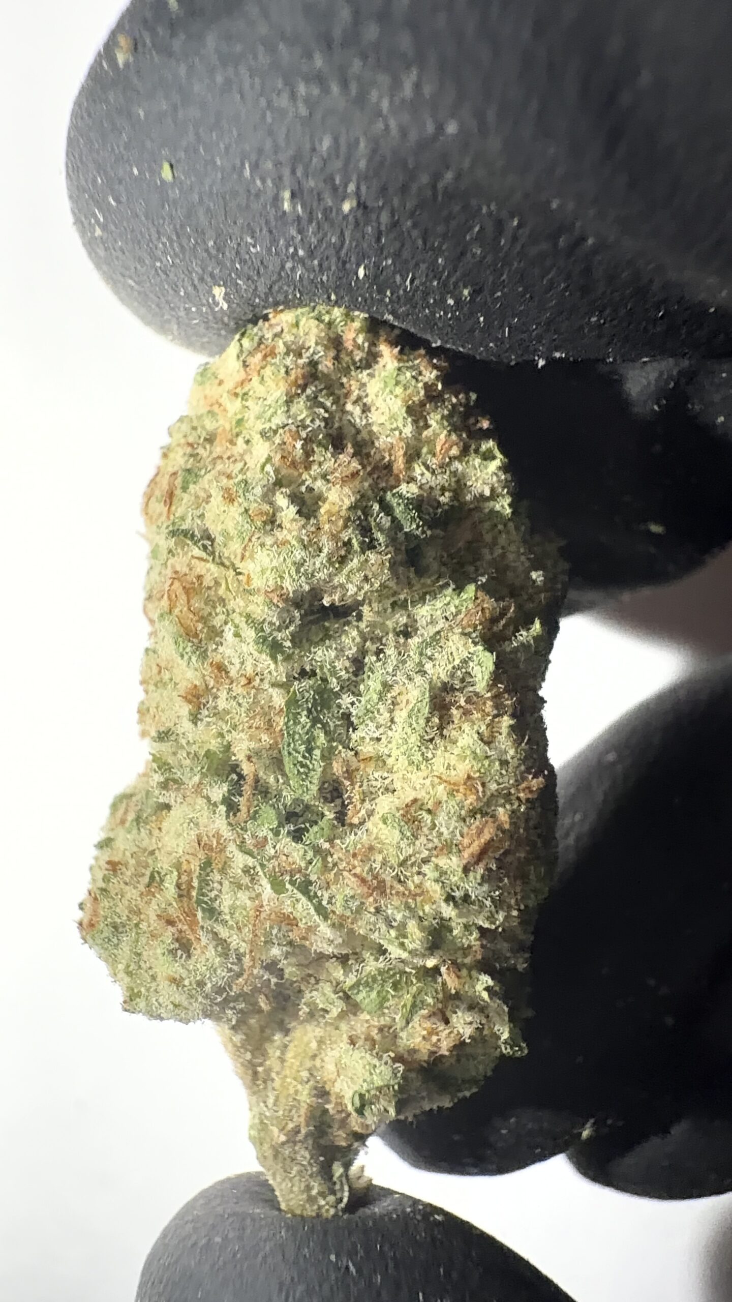 Amnesia Haze - THCA Flower (Sativa) - Image 2