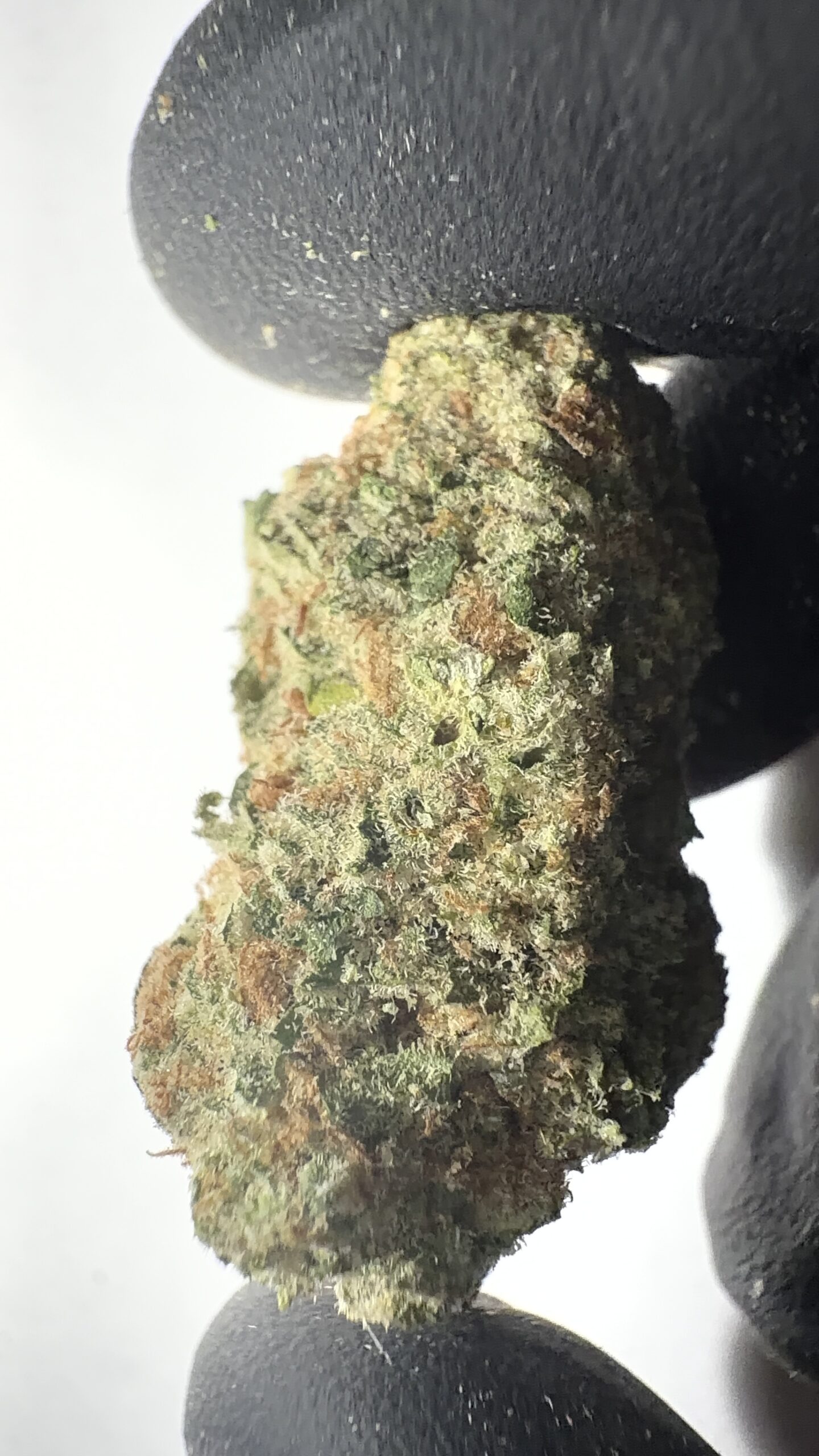 Amnesia Haze - THCA Flower (Sativa) - Image 3