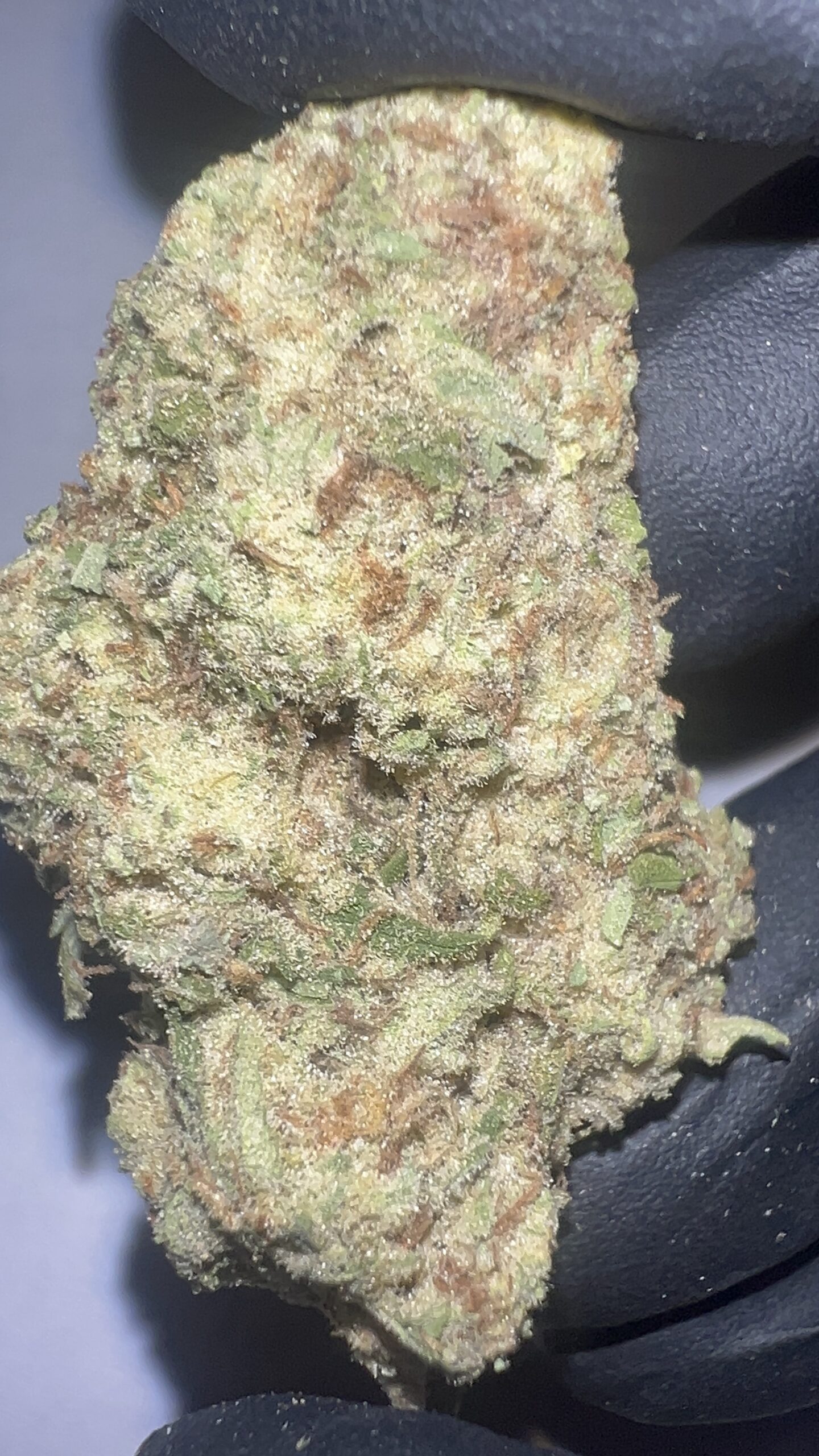 Amnesia Haze - THCA Flower (Sativa) - Image 5