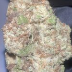 Amnesia Haze - THCA Flower (Sativa)