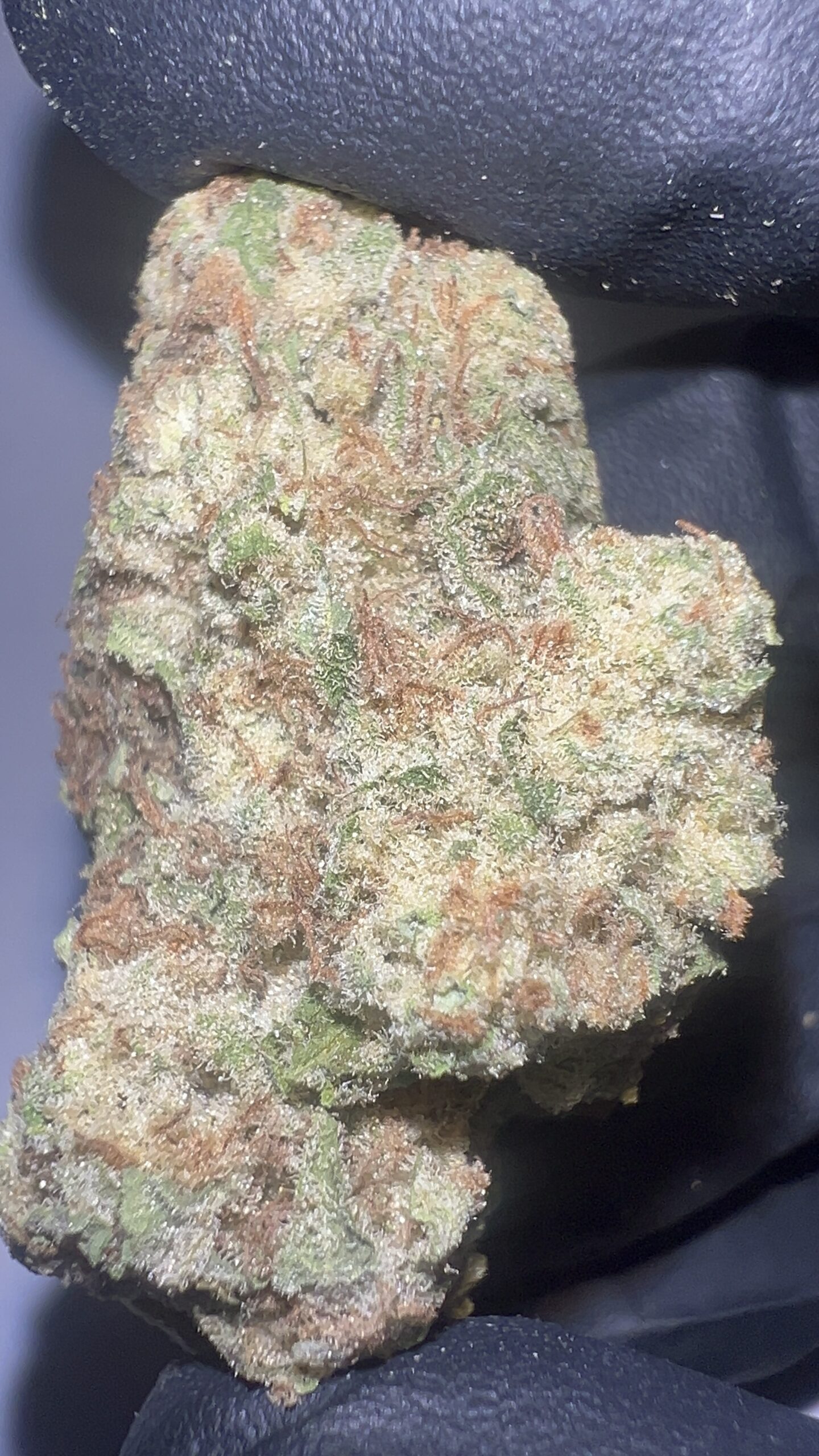 Amnesia Haze - THCA Flower (Sativa) - Image 3
