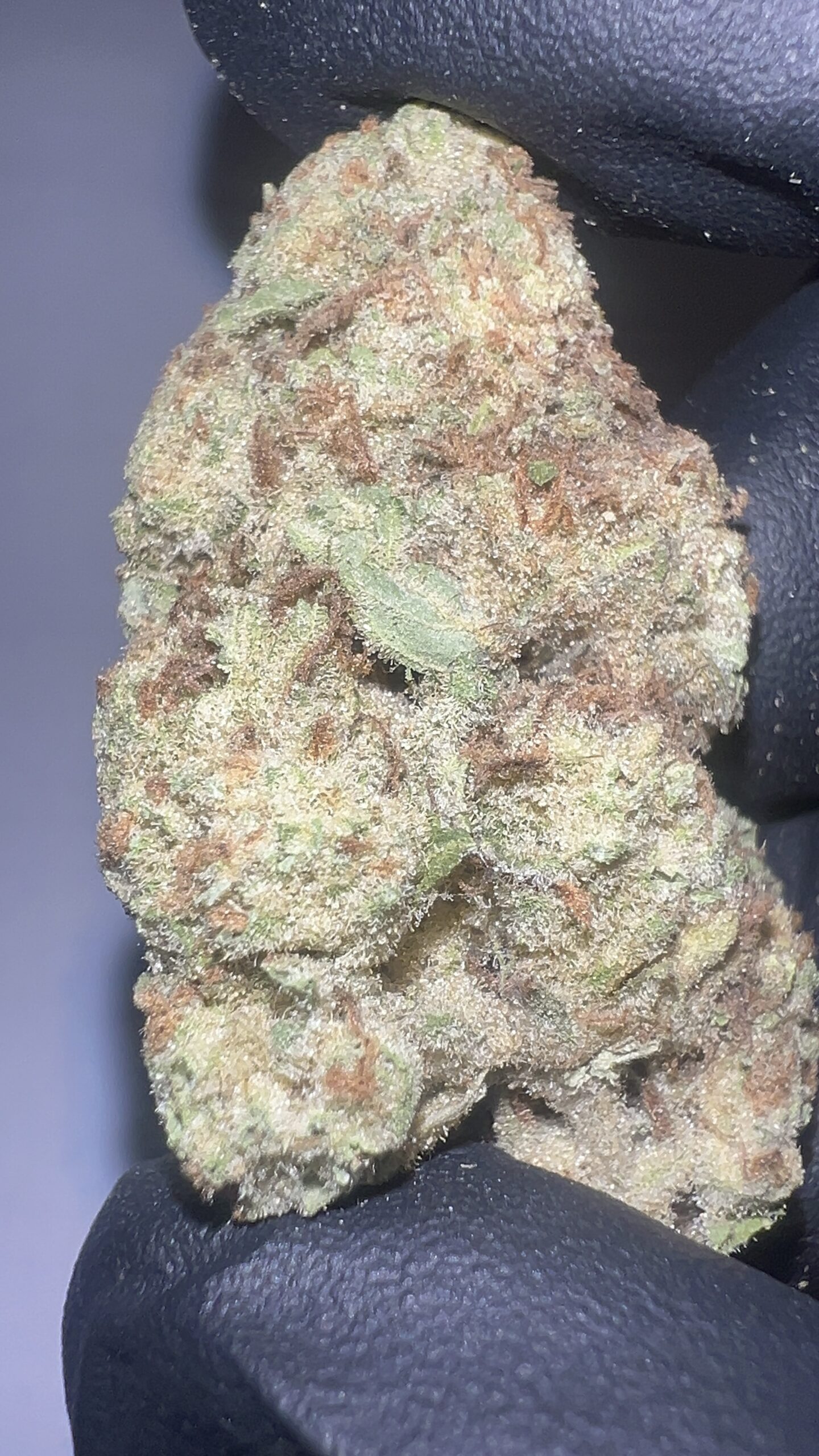 Amnesia Haze - THCA Flower (Sativa) - Image 2