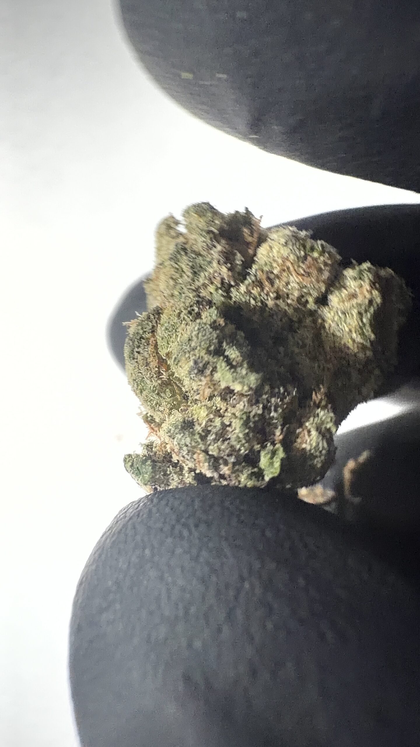 Yerba Fuel - THCA Flower (Sativa) - Image 6
