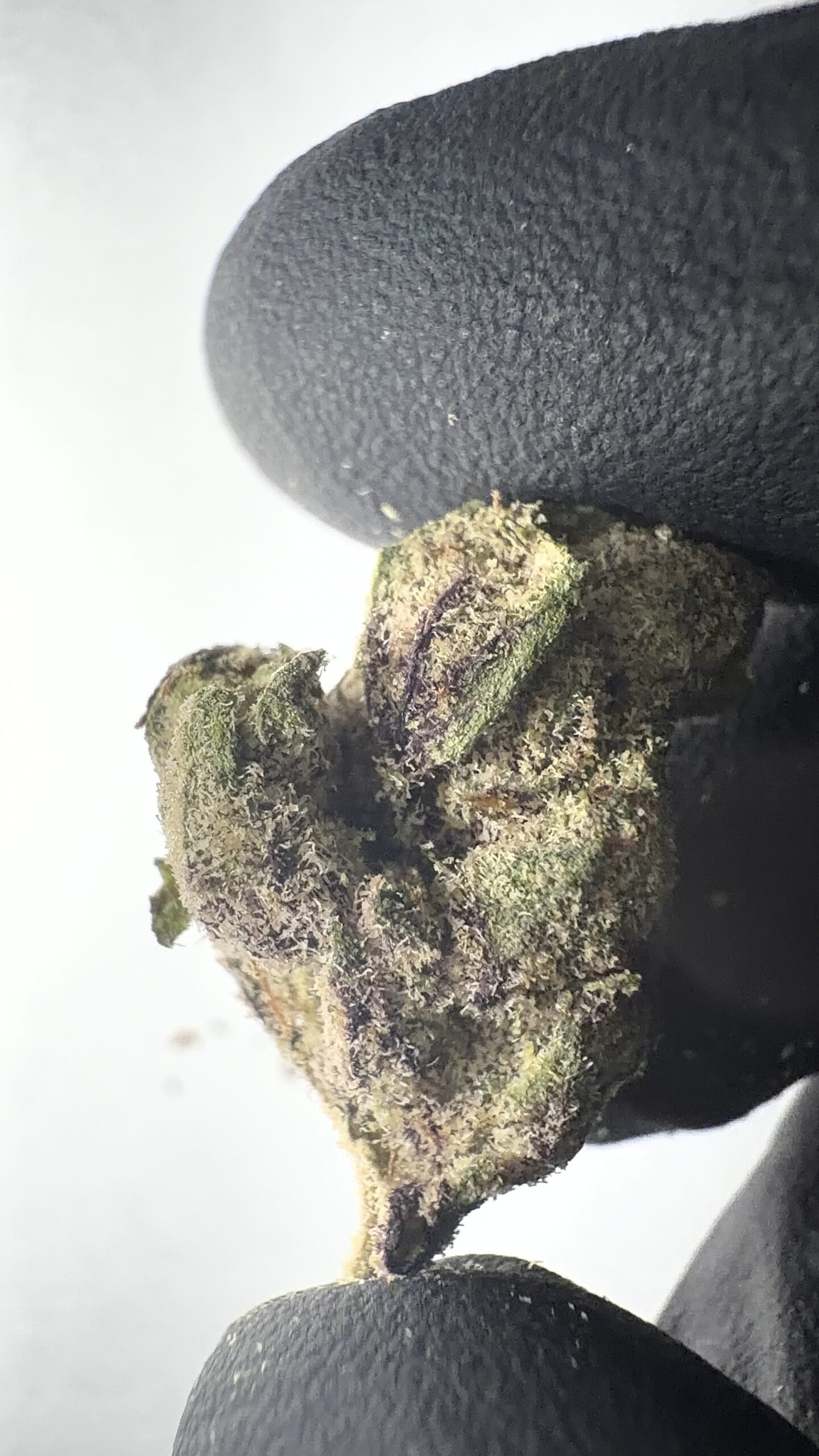 Yerba Fuel - THCA Flower (Sativa) - Image 5
