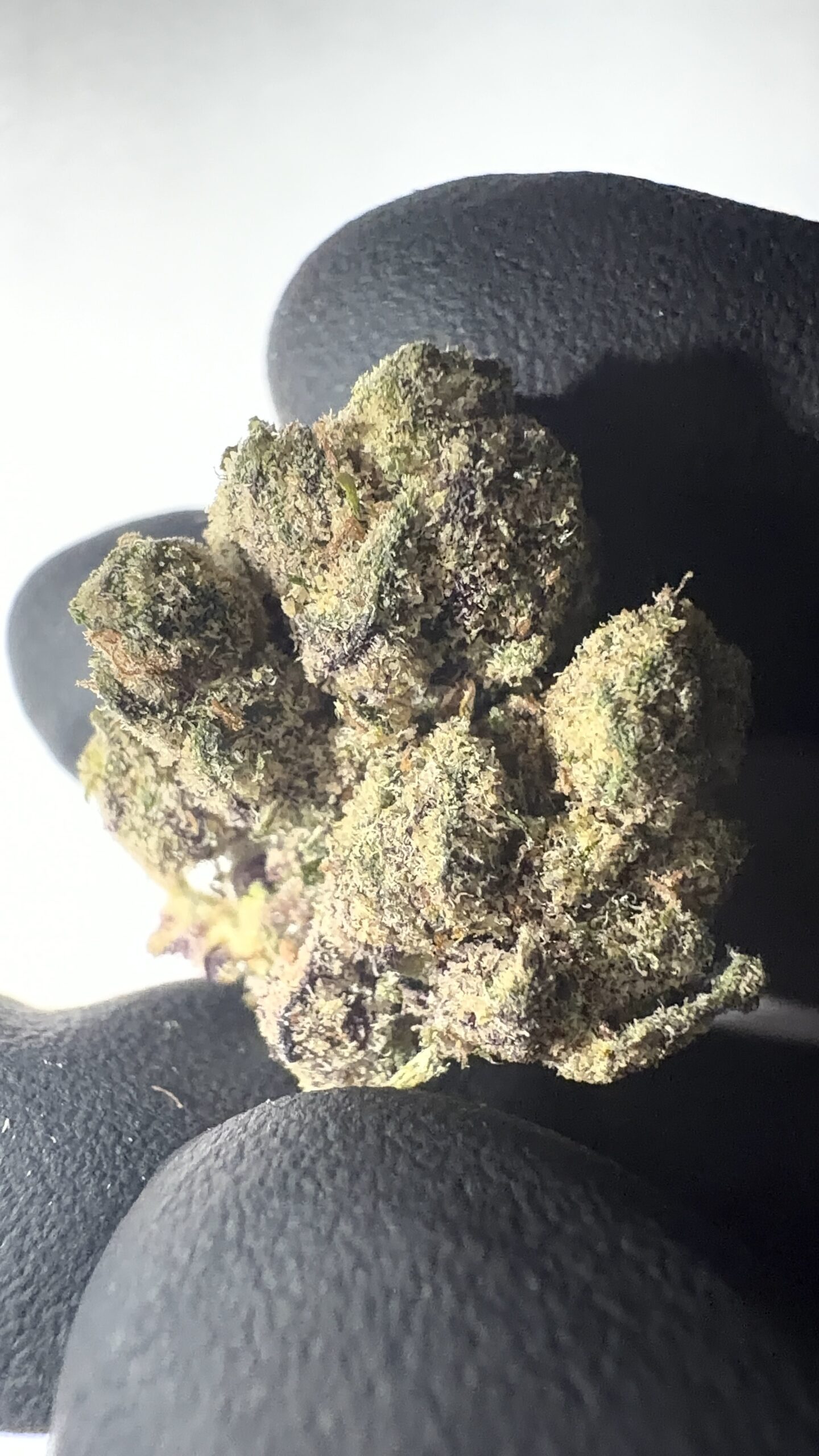 Yerba Fuel - THCA Flower (Sativa) - Image 3