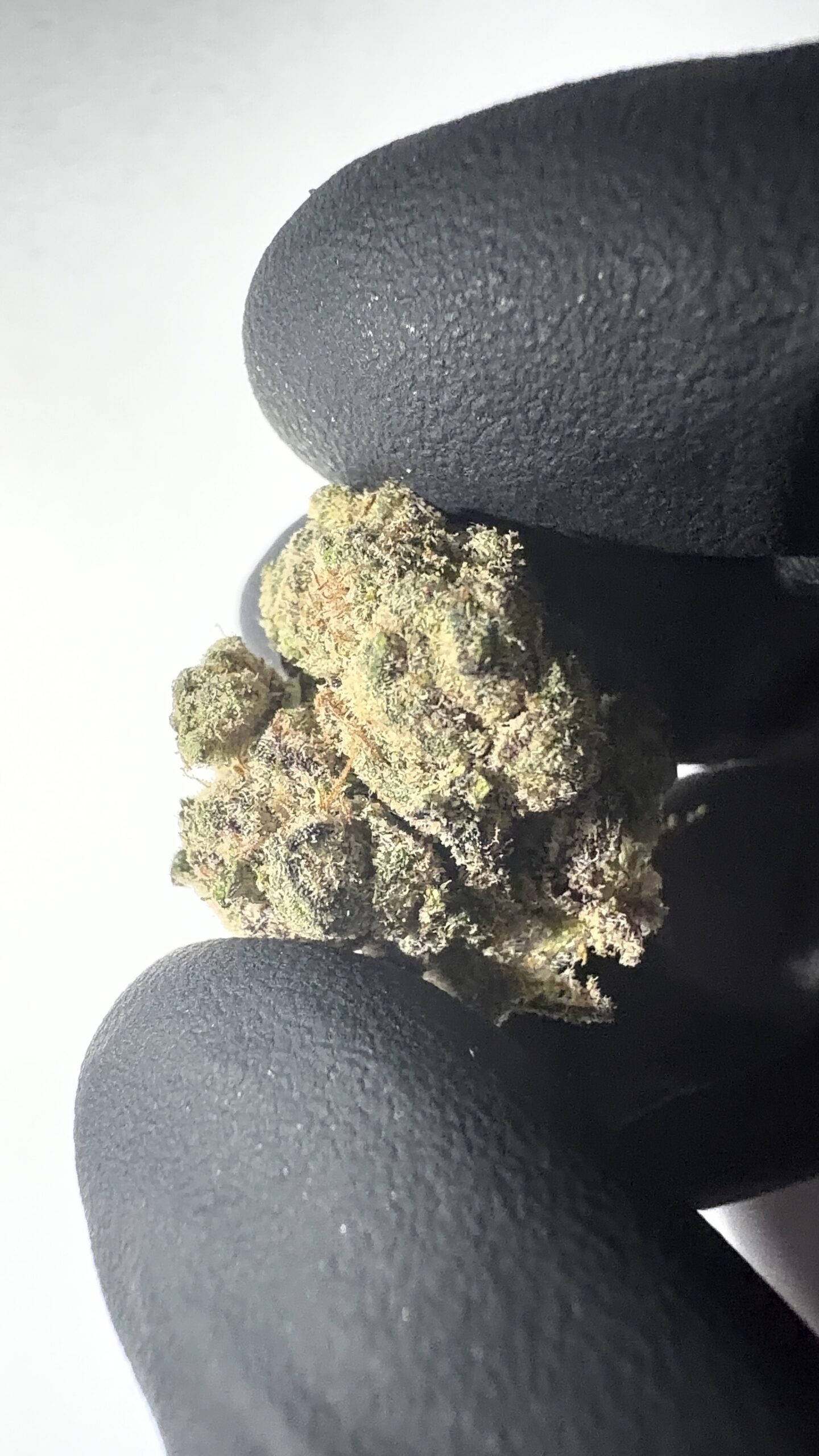 Yerba Fuel - THCA Flower (Sativa) - Image 4