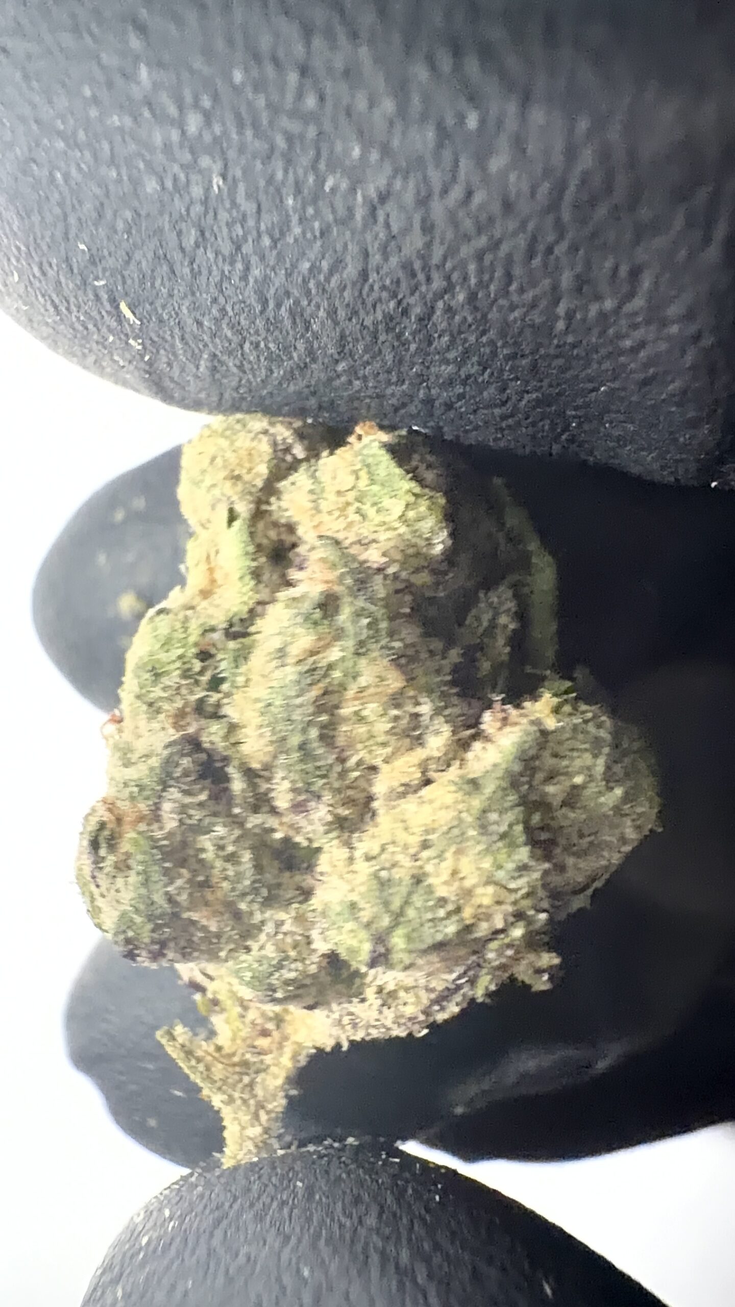 Yerba Fuel - THCA Flower (Sativa) - Image 2