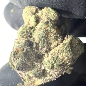 Yerba Fuel - THCA Flower (Sativa)