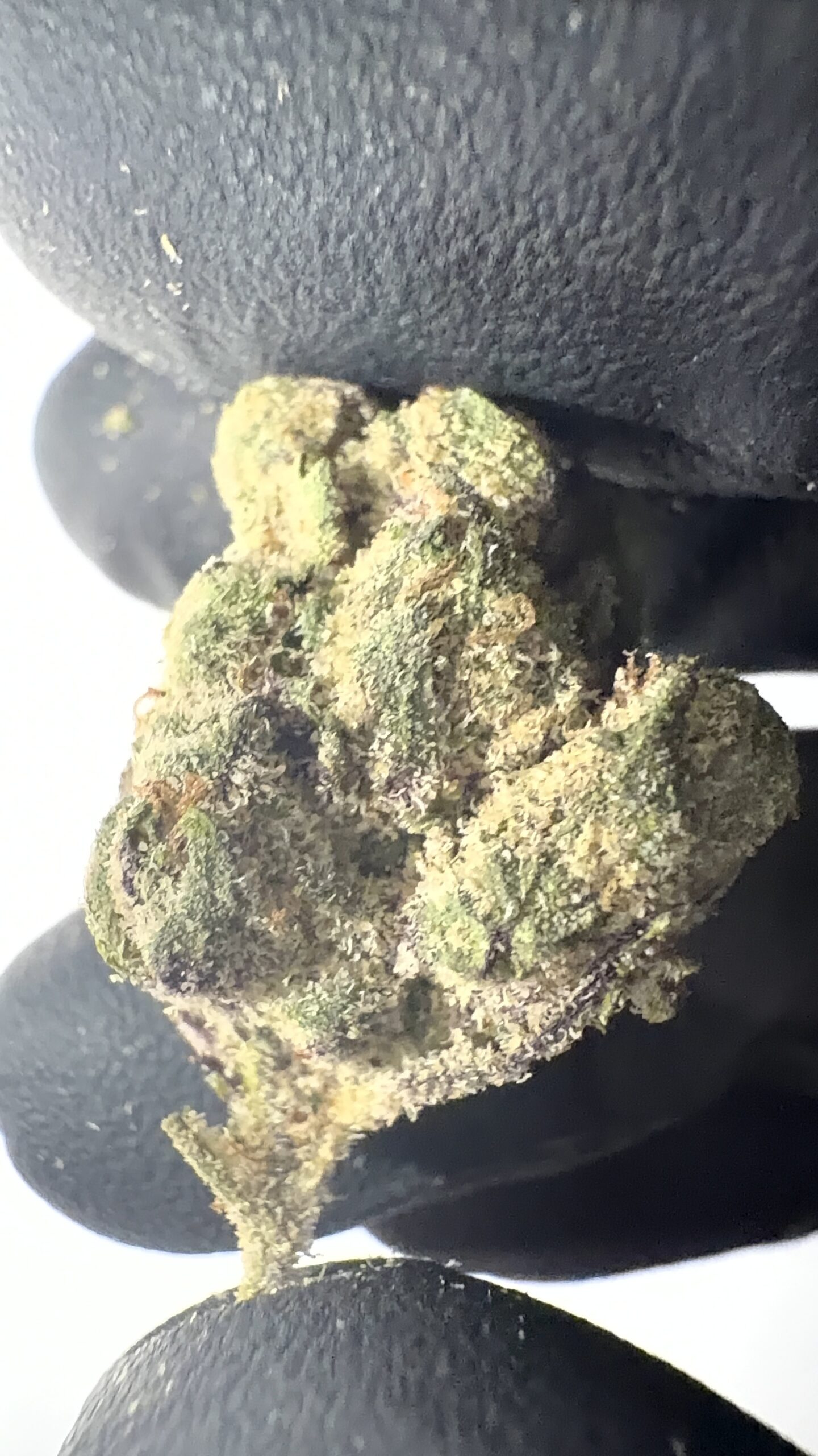 Yerba Fuel - THCA Flower (Sativa)