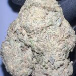 Sour Lifter Delta 8 Flower hemp bud