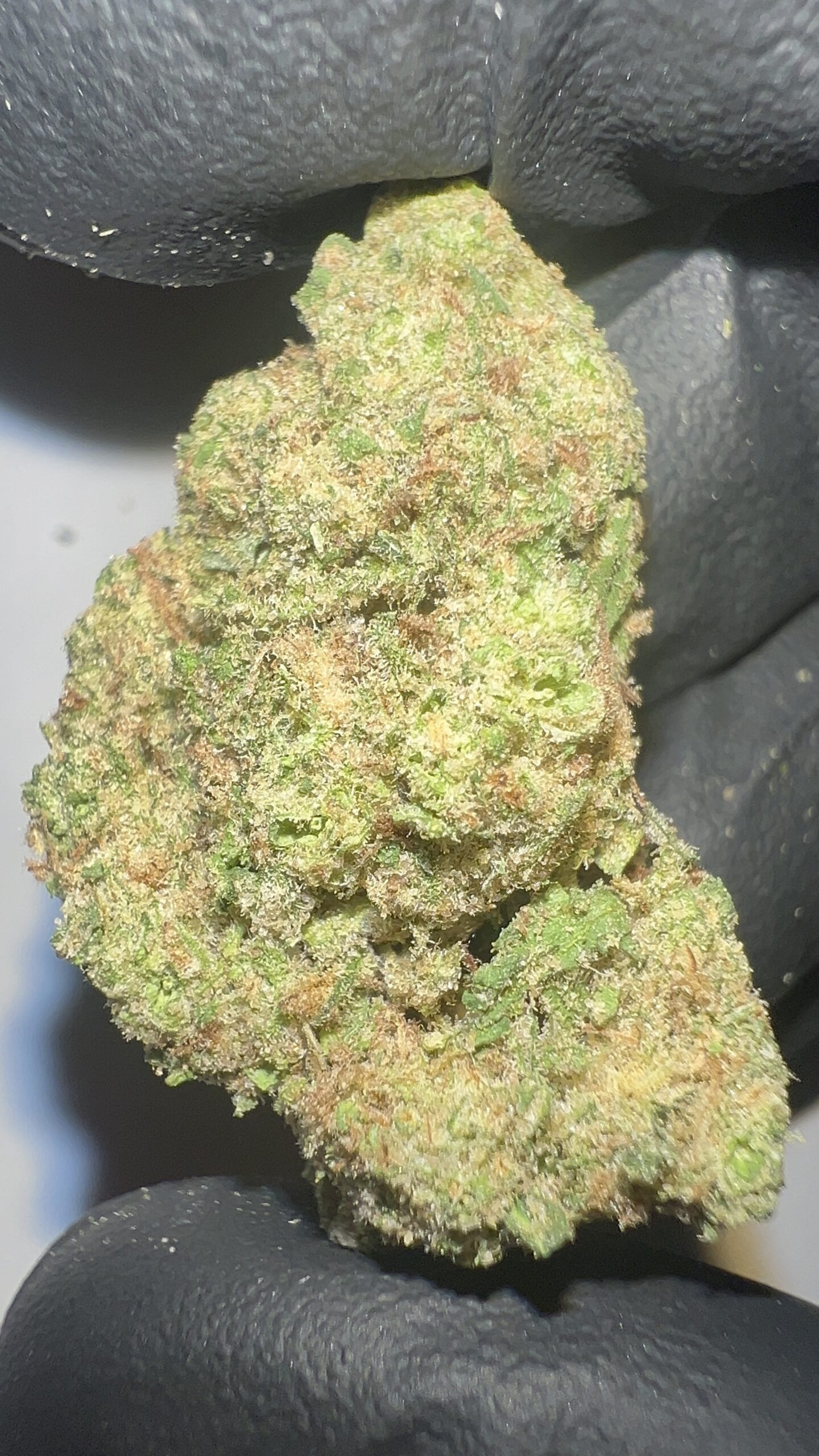 Cactus Cooler - THCA Flower (Hybrid) - Image 2