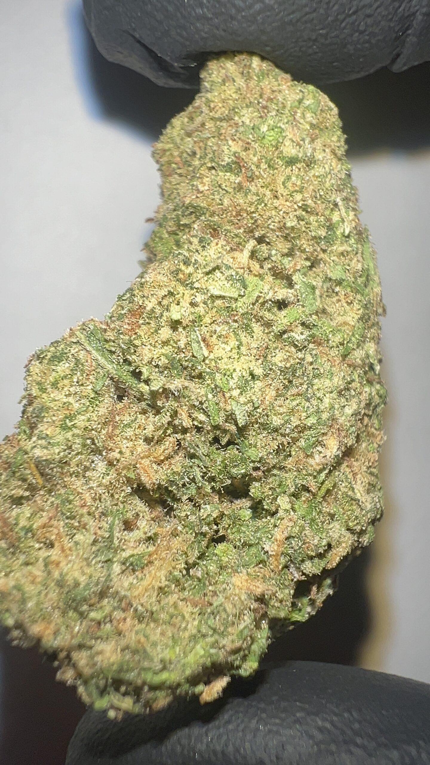 Cactus Cooler - THCA Flower (Hybrid) - Image 3
