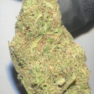 Cactus Cooler - THCA Flower (Hybrid)
