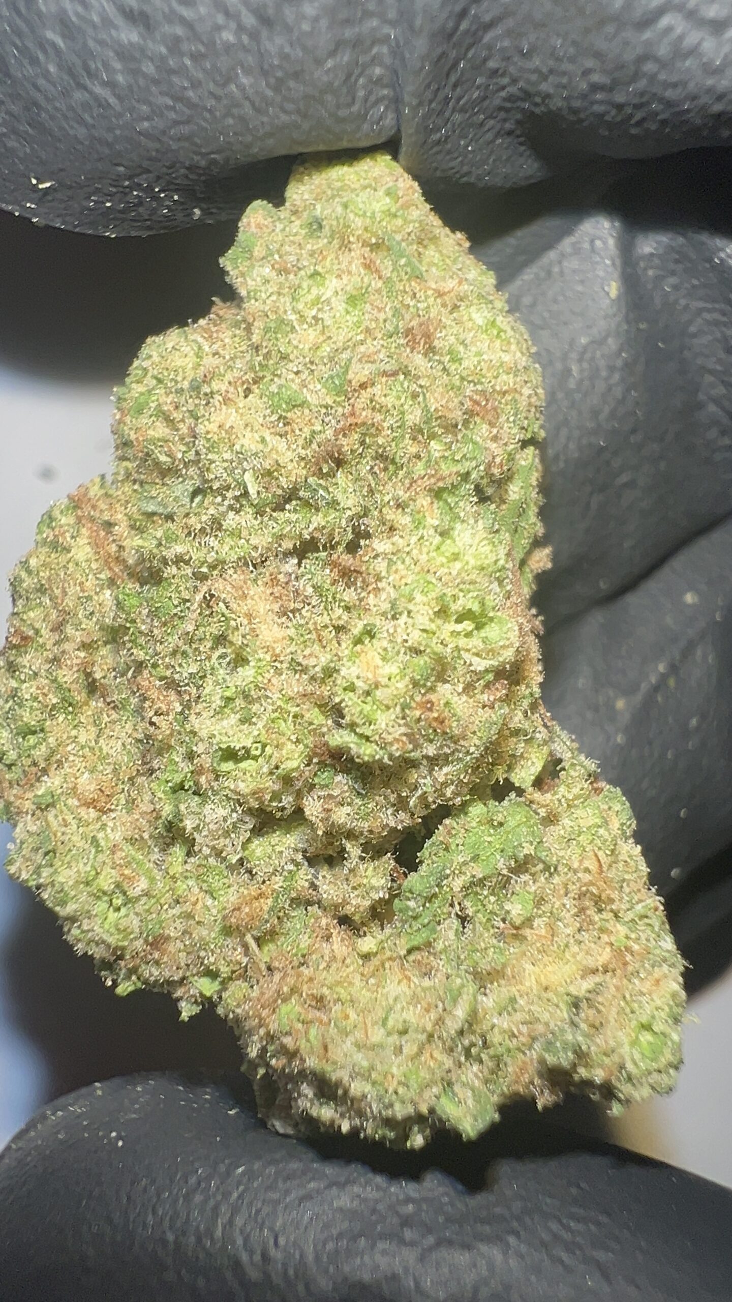 Cactus Cooler - THCA Flower (Hybrid) - Image 5