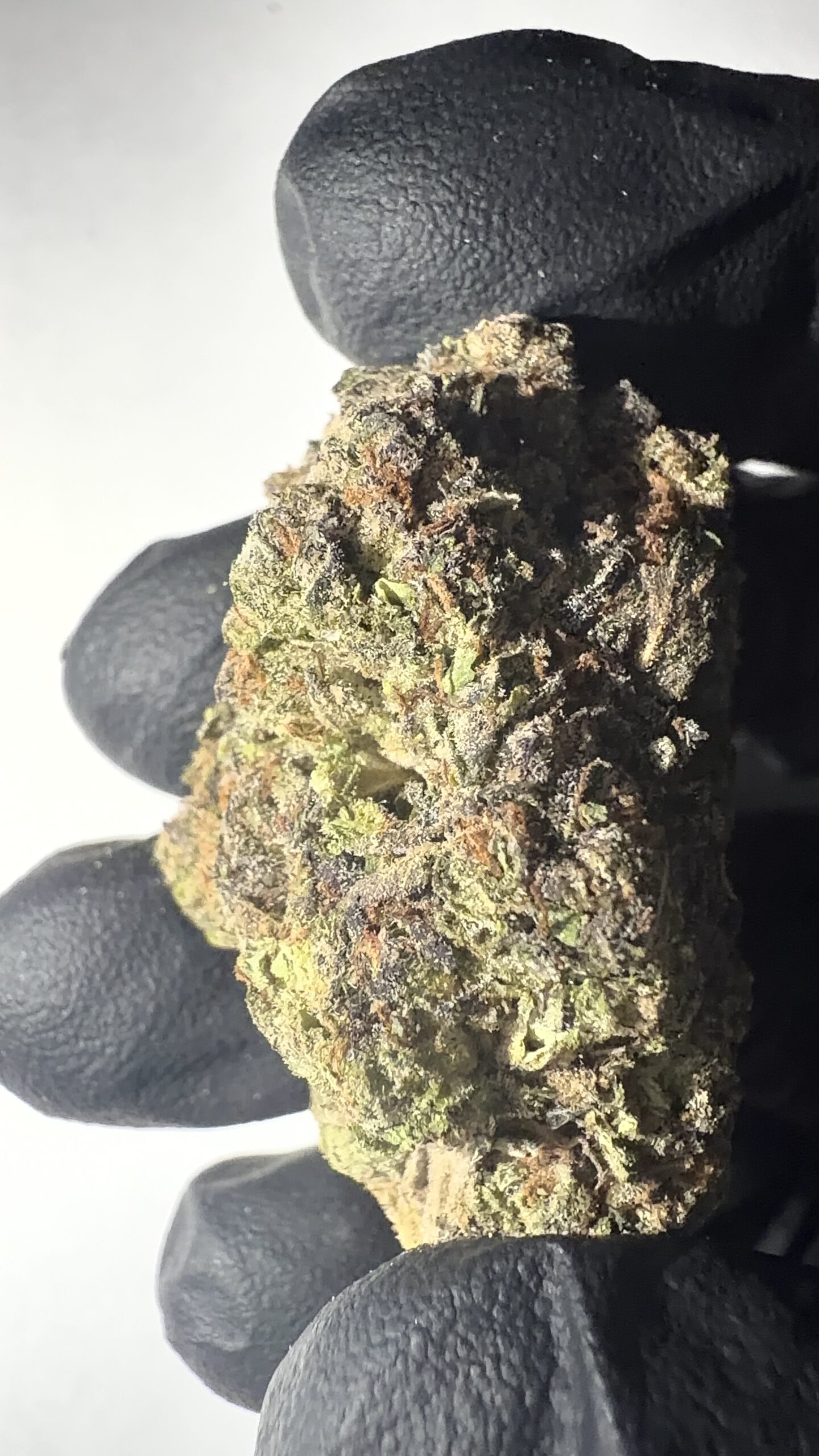 Frosted Cherry Bomb - Light Assist THCA Flower (Sativa) - Image 2